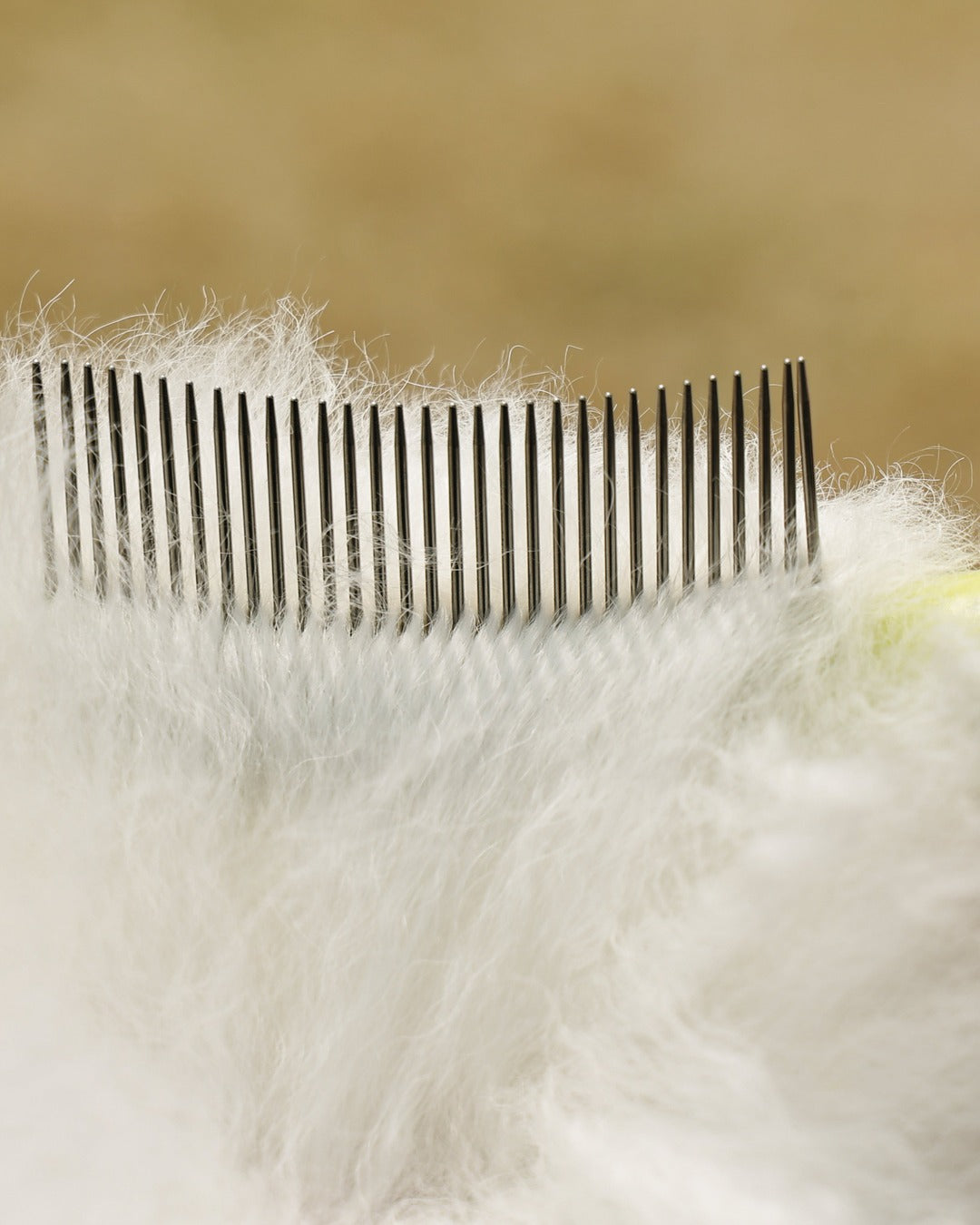 Click & Groom Değiştirilebilir Başlıklı Kavisli Metal Dişli Tüy Toplama Fırçası Kedi ve Köpek M-Pets Click and Groom Curved Brush