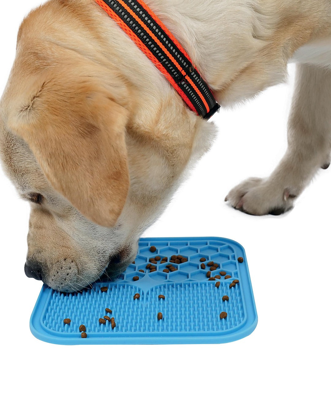 Vantuzlu Yalama Matı Yavaş Besleme Kedi ve Köpek M-Pets Lecca Mat