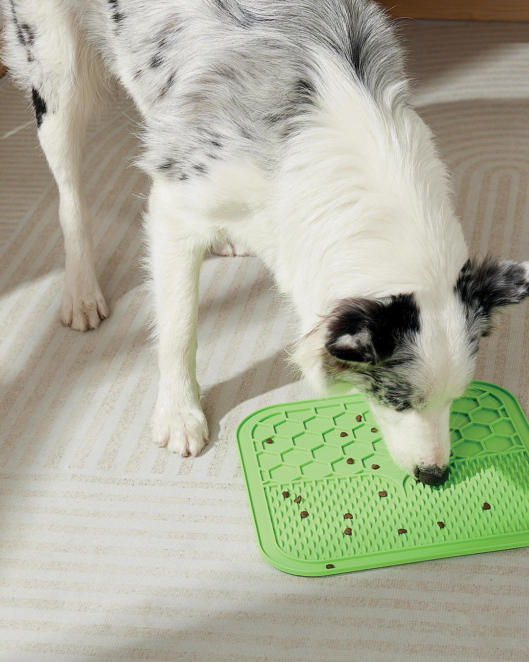 Vantuzlu Yalama Matı Yavaş Besleme Kedi ve Köpek M-Pets Lecca Mat