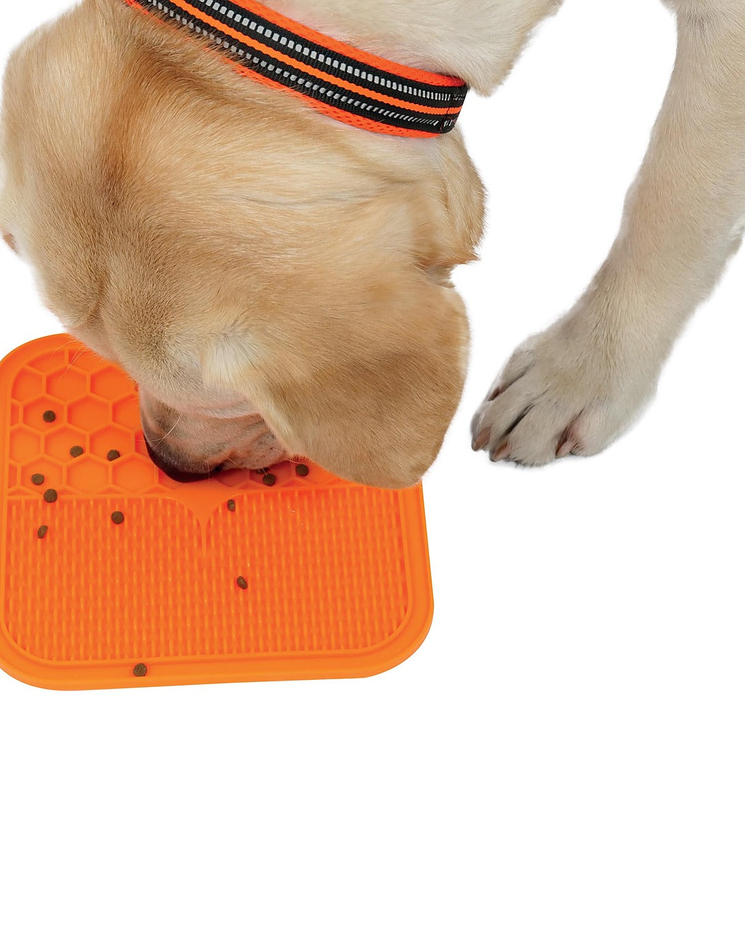 Vantuzlu Yalama Matı Yavaş Besleme Kedi ve Köpek M-Pets Lecca Mat