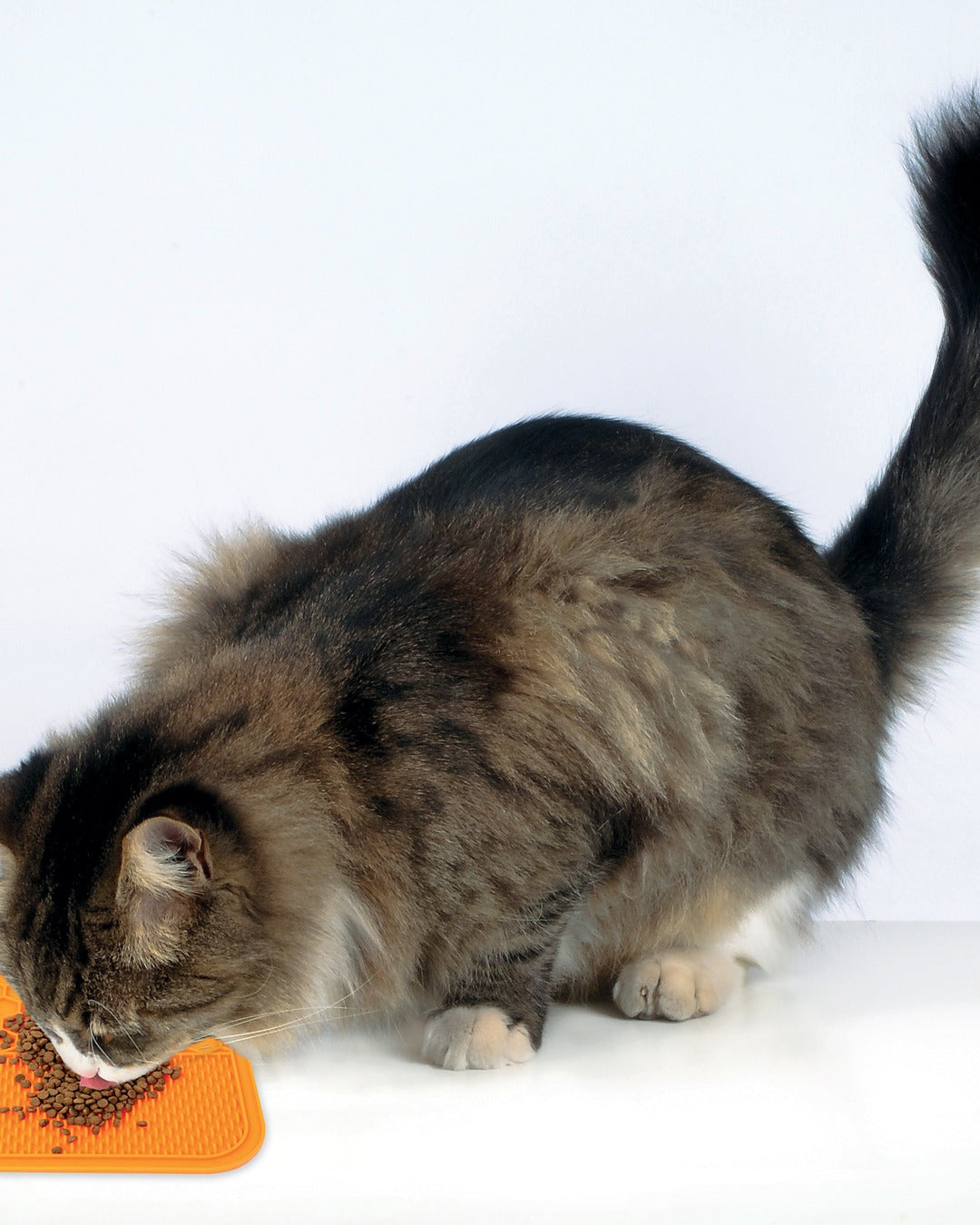 Vantuzlu Yalama Matı Yavaş Besleme Kedi ve Köpek M-Pets Lecca Mat