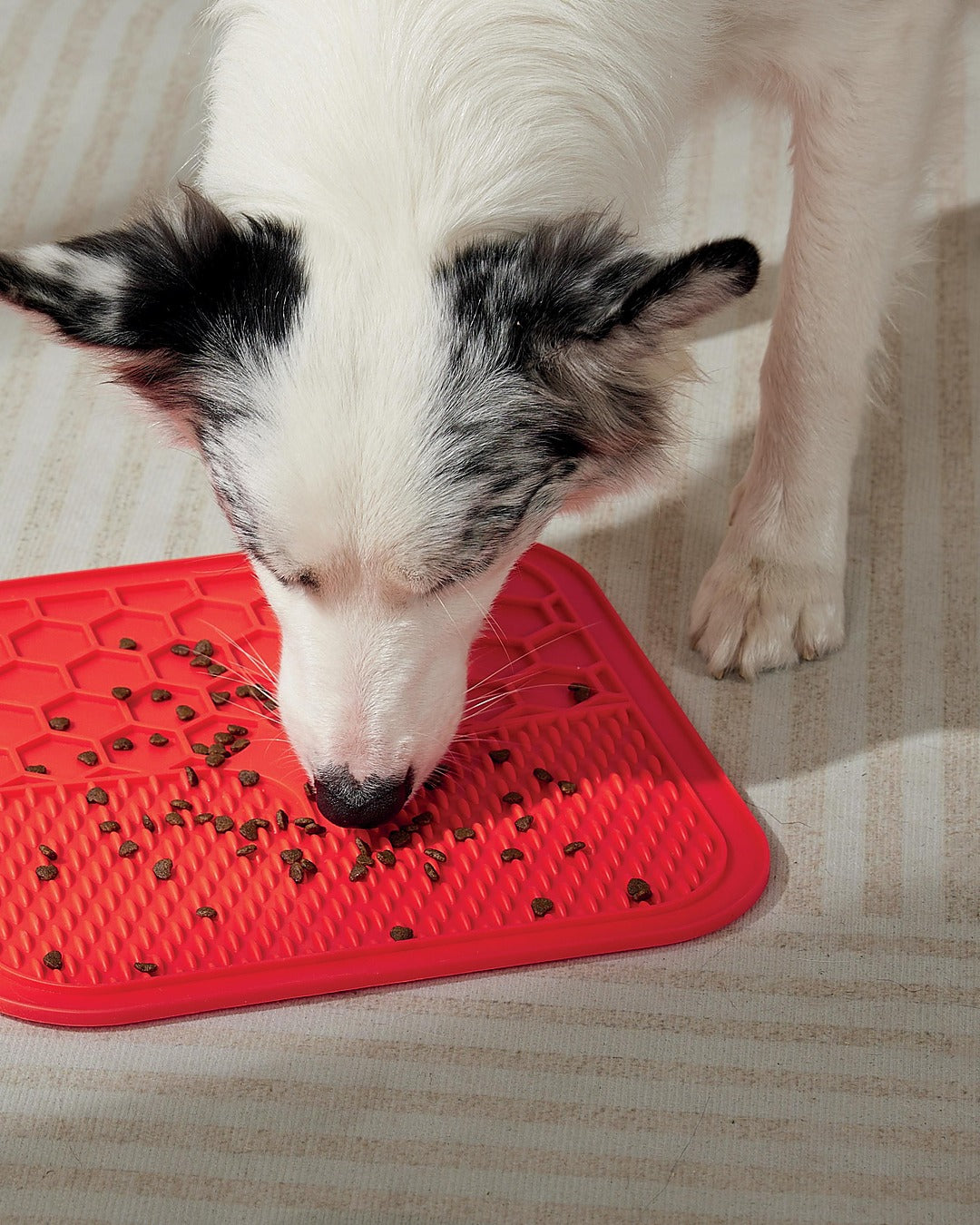 Vantuzlu Yalama Matı Yavaş Besleme Kedi ve Köpek M-Pets Lecca Mat