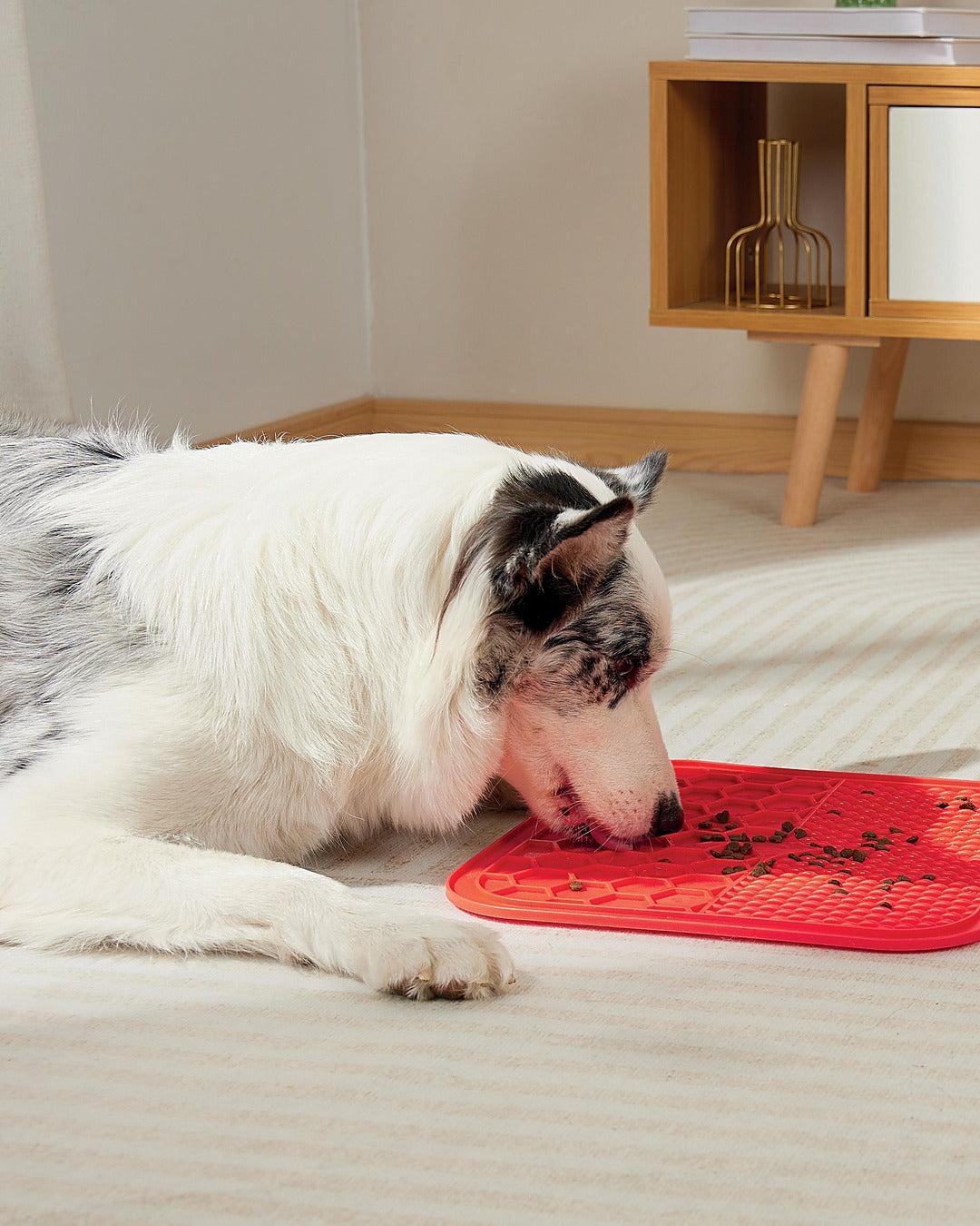 Vantuzlu Yalama Matı Yavaş Besleme Kedi ve Köpek M-Pets Lecca Mat