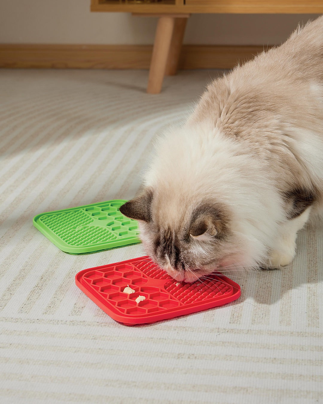 Vantuzlu Yalama Matı Yavaş Besleme Kedi ve Köpek M-Pets Lecca Mat