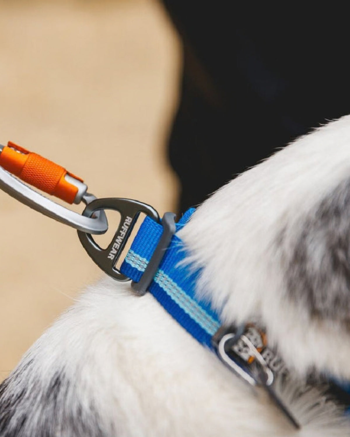 Metal Tokalı Reflektörlü Köpek Boyun Tasması Ruffwear Top Rope Dog Collar