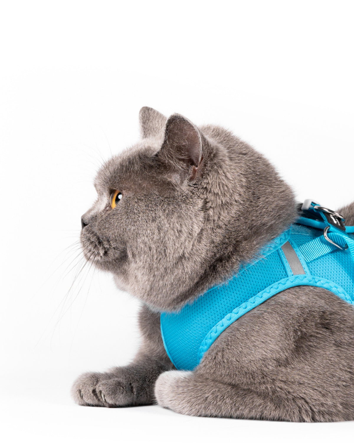 Nefes Alan File Kedi Göğüs Tasması Red Dingo Cat Mesh Harness