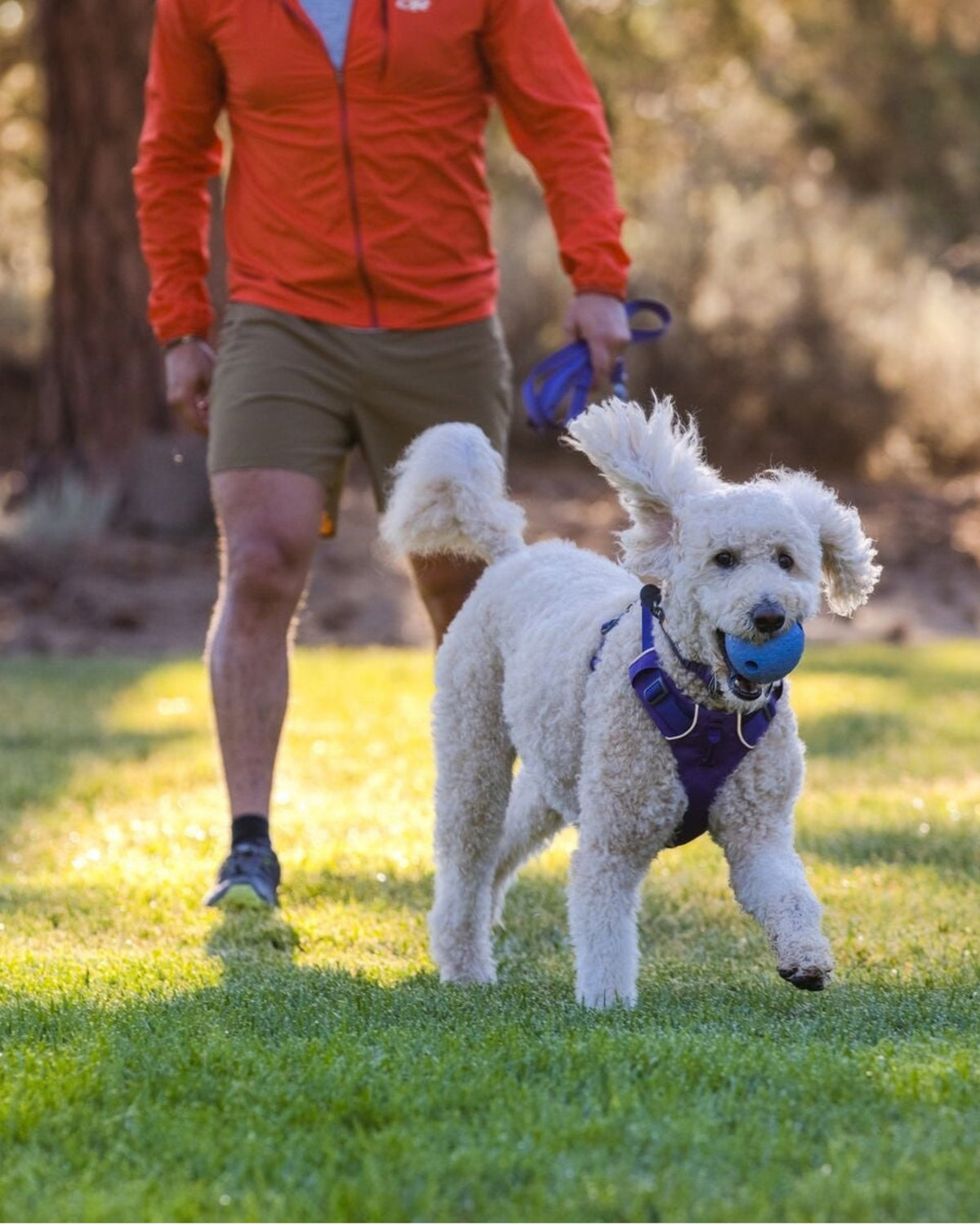 Ödül Haznesi Olan Kauçuk Köpek Oyuncağı Ruffwear Huckama
