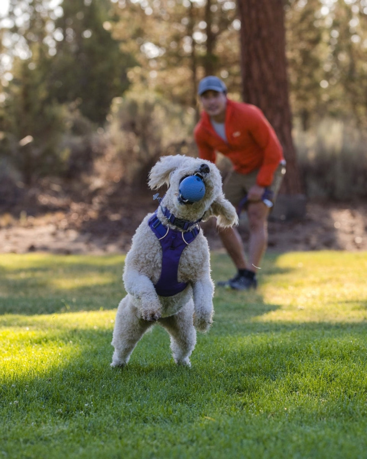 Ödül Haznesi Olan Kauçuk Köpek Oyuncağı Ruffwear Huckama