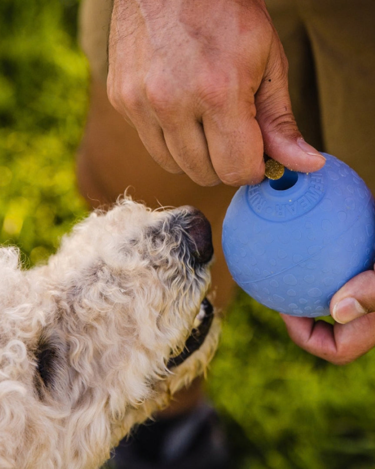 Ödül Haznesi Olan Kauçuk Köpek Oyuncağı Ruffwear Huckama