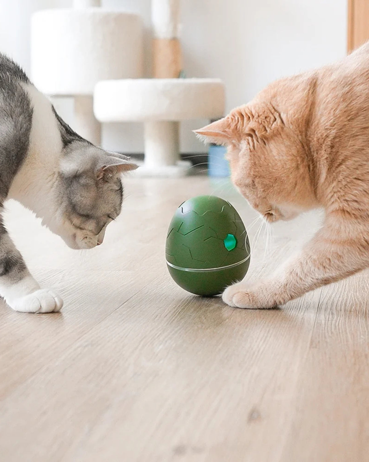 Ödül Veren Şarjlı Akıllı İnteraktif Kedi ve Köpek Yumurta Oyuncağı Cheerble Wicked Egg