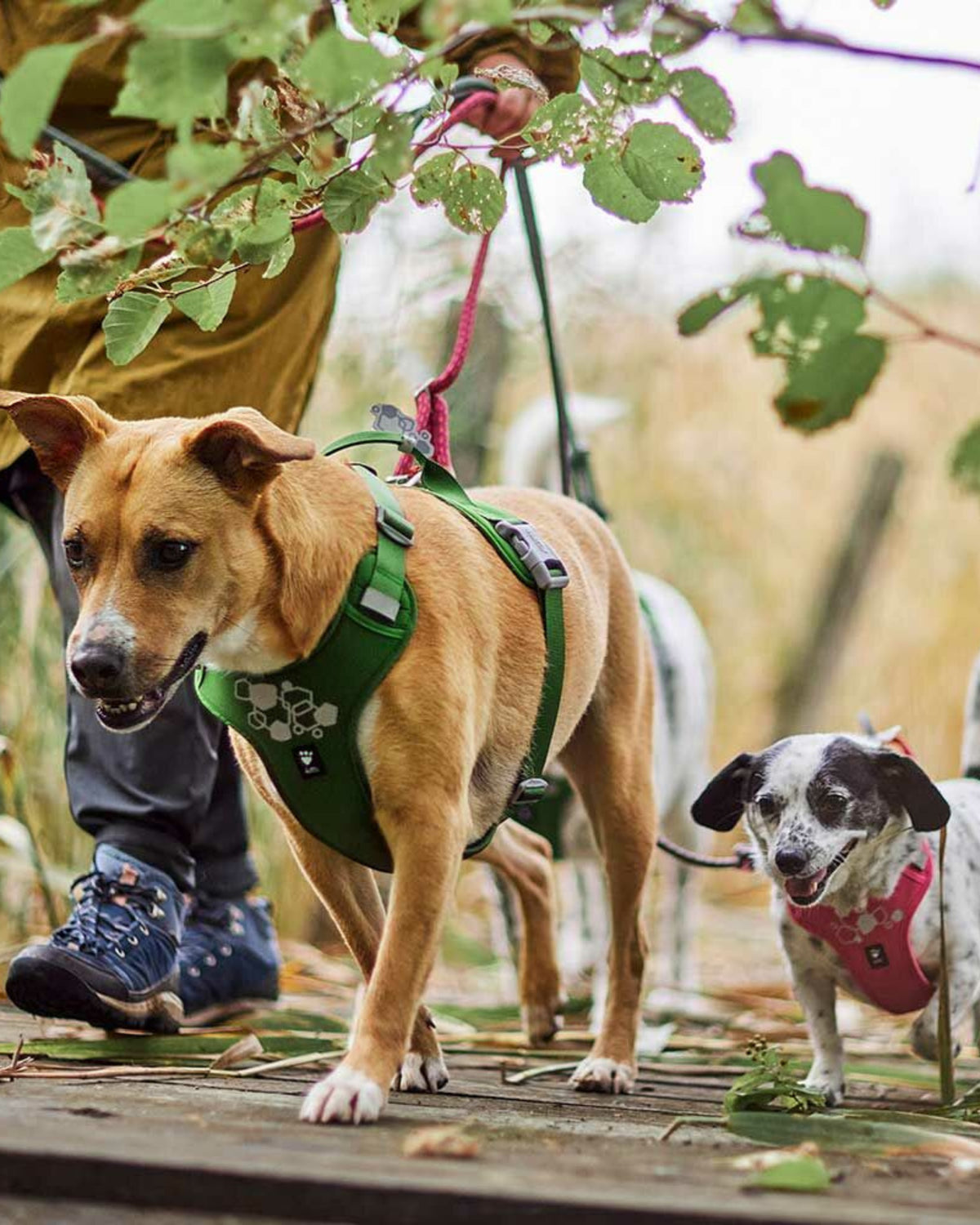 Önden Çift Tokalı Tutamaklı Neopren Dolgulu Reflektörlü Köpek Göğüs Tasması Hurtta Weekend Warrior Harness II ECO