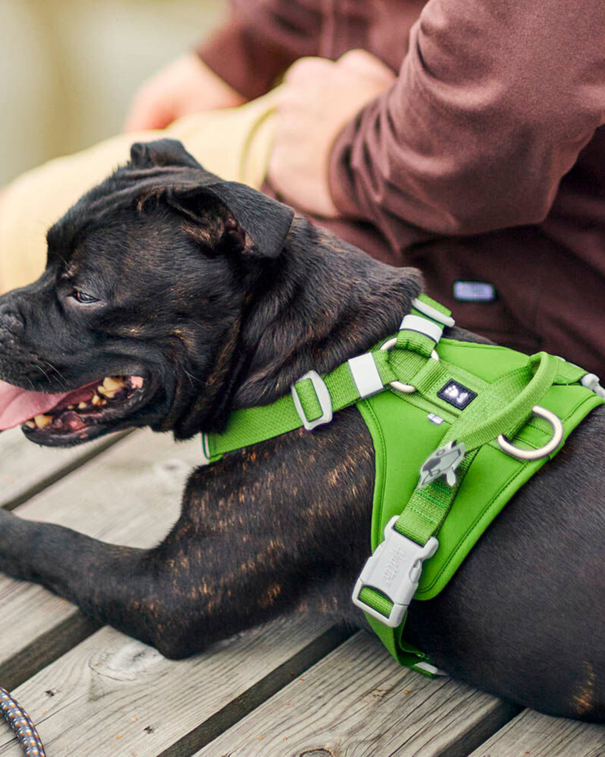 Önden Çift Tokalı Tutamaklı Neopren Dolgulu Reflektörlü Köpek Göğüs Tasması Hurtta Weekend Warrior Harness II ECO