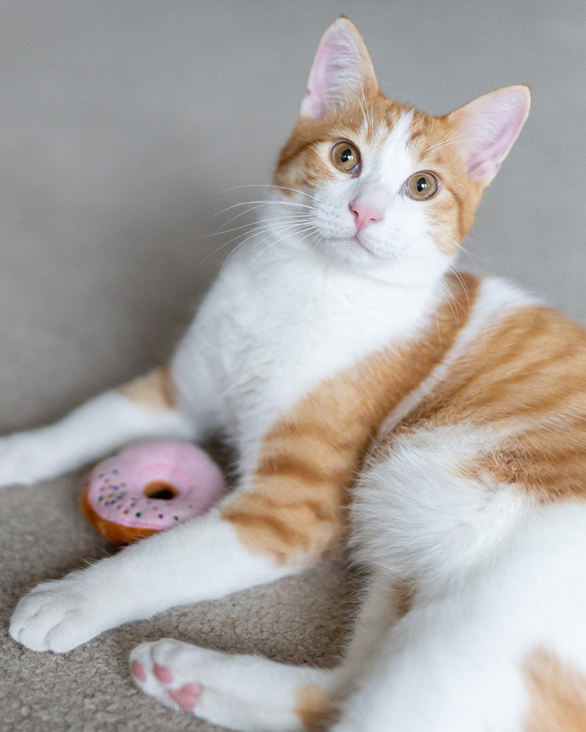 Organik Kedi Naneli Hışırtılı Donut Figürlü 3'lü Kedi Oyuncağı Seti P.L.A.Y. Feline Frenzy Kitty Kreme Donuts