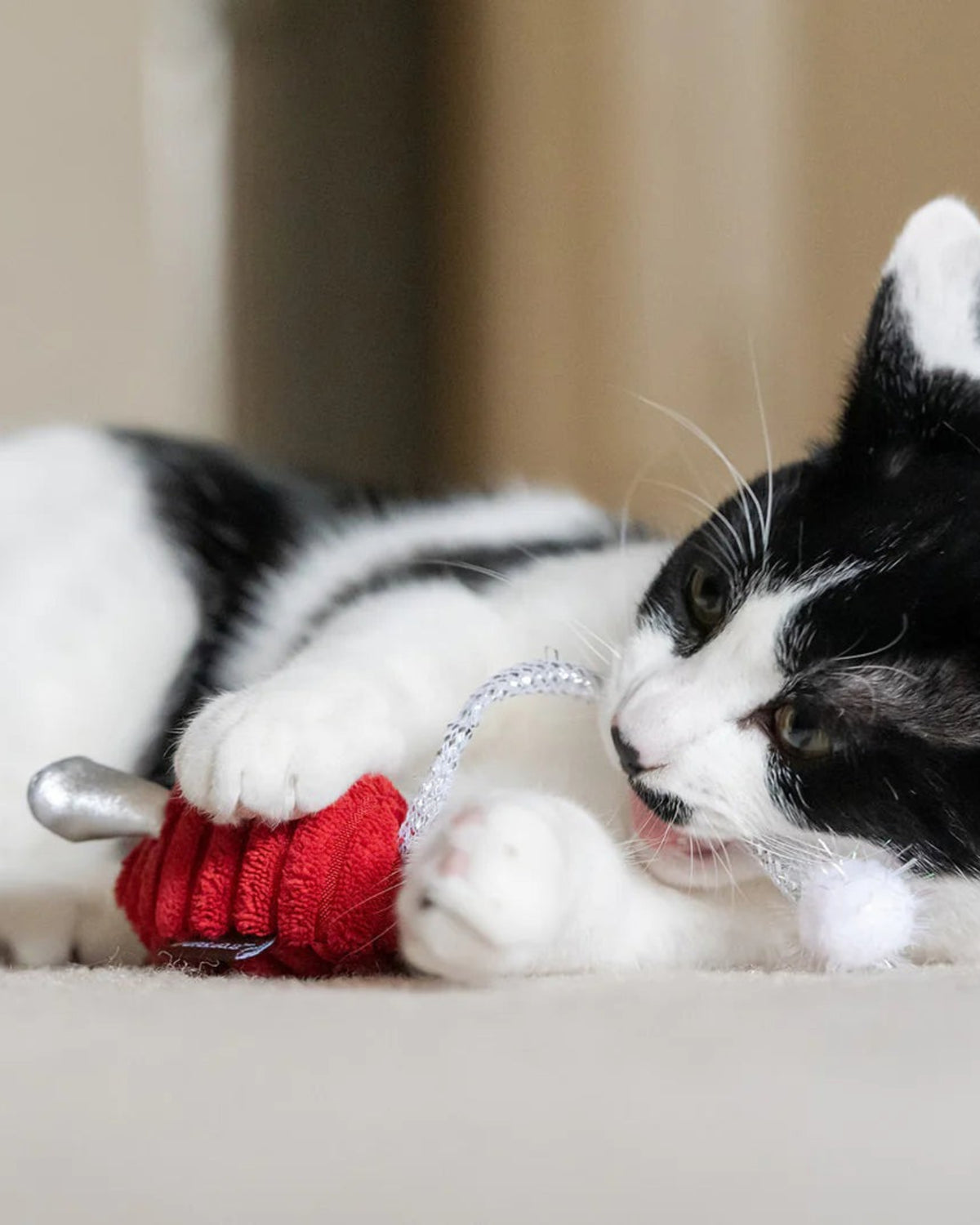 Organik Kedi Naneli Hışırtılı Fare Figürlü 2'li Kedi Oyuncağı Seti P.L.A.Y. Feline Frenzy Twice As Mice