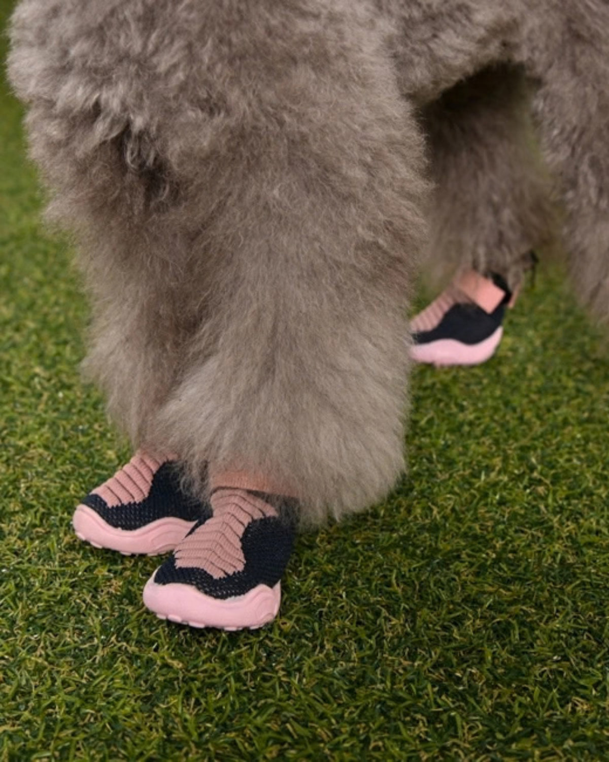 Örgü Kumaş Pembe Köpek Patiği Puppia Knitted Comfort Shoes