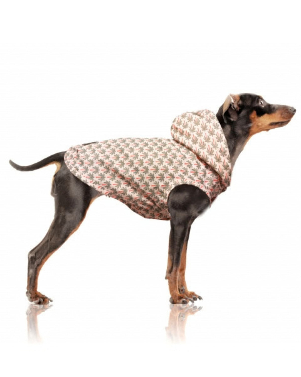 Palmiye Desenli Kapüşonlu Köpek Yağmurluğu Milk&Pepper Paloma Raincoat