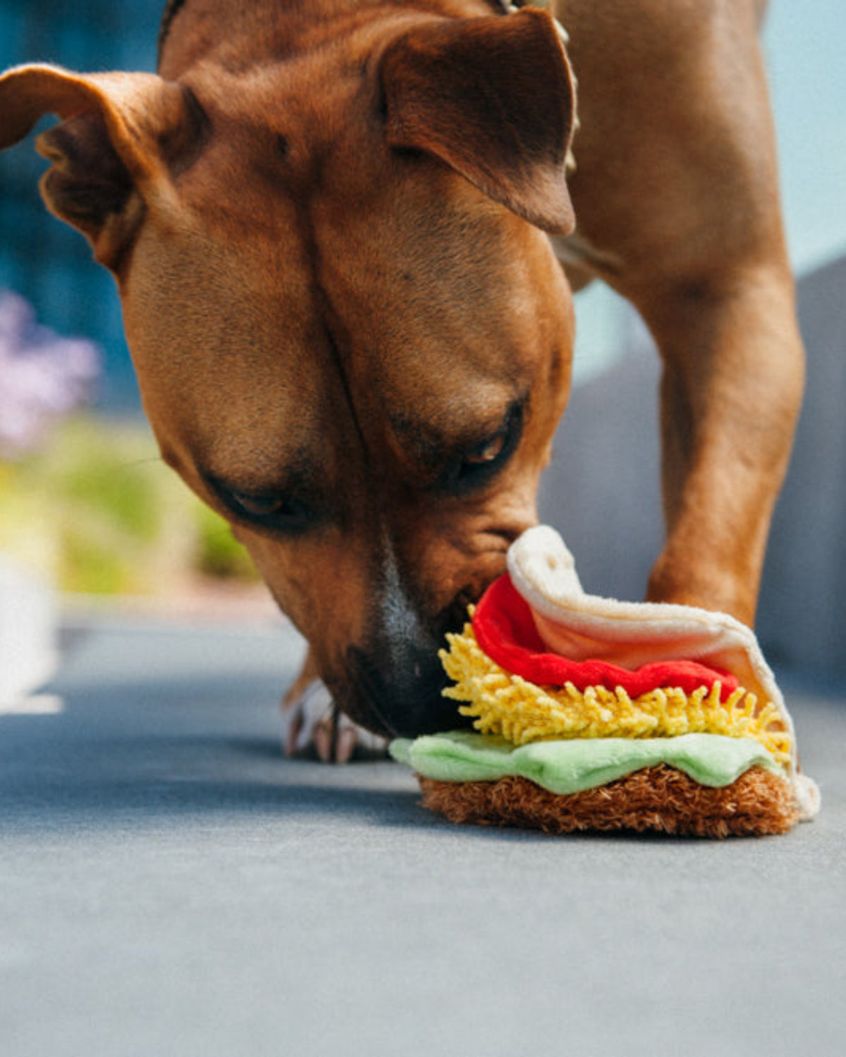 Parçalı Taco Figürlü Hışırtılı Sesli Peluş Köpek Oyuncağı P.L.A.Y. International Classic Tail Waggin’ Taco