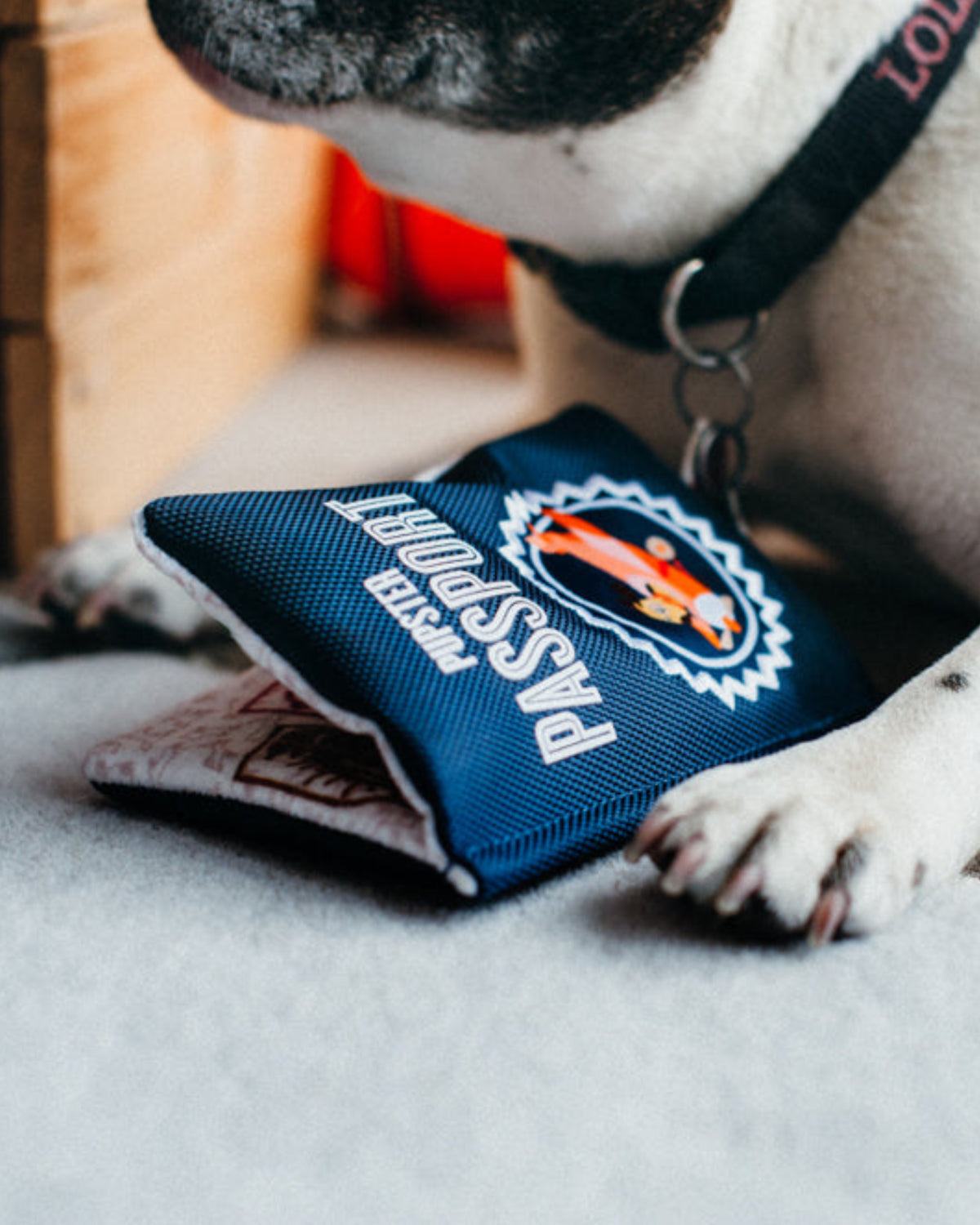 Pasaport Figürlü Hışırtılı Sesli Peluş Köpek Oyuncağı P.L.A.Y. Globetrotter Pupster Passport