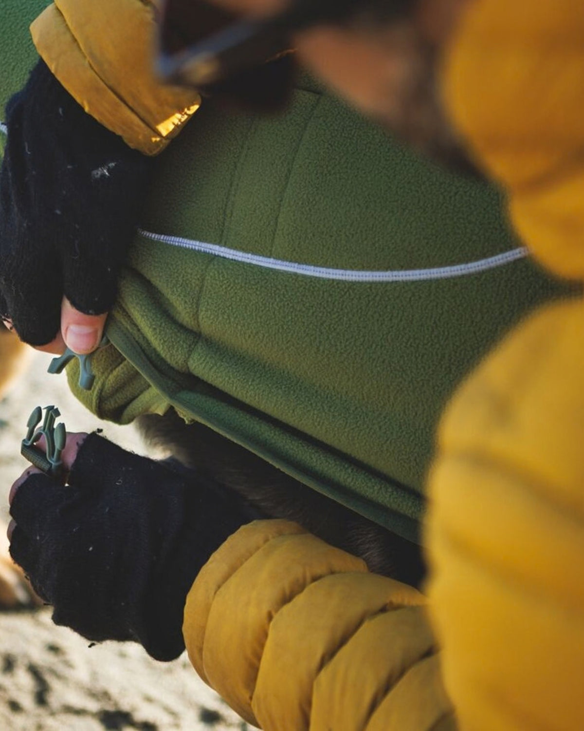 Polar Köpek Yeleği Ruffwear Climate Changer
