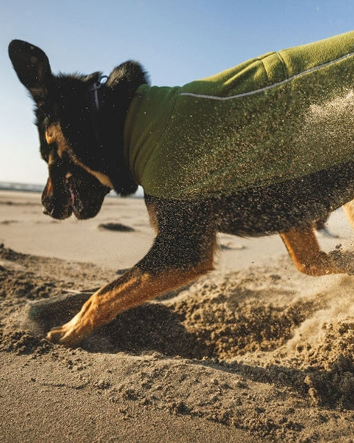 Polar Köpek Yeleği Ruffwear Climate Changer