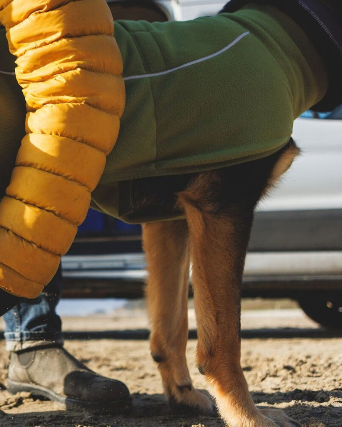 Polar Köpek Yeleği Ruffwear Climate Changer
