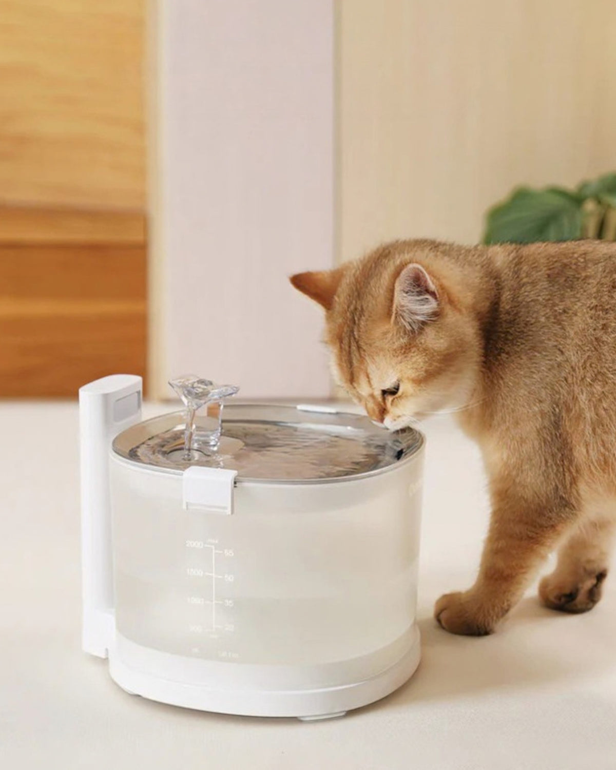 Pompasız Kablosuz Şarjlı Filtreli Kedi Su Pınarı Cheerble Elfin E1+