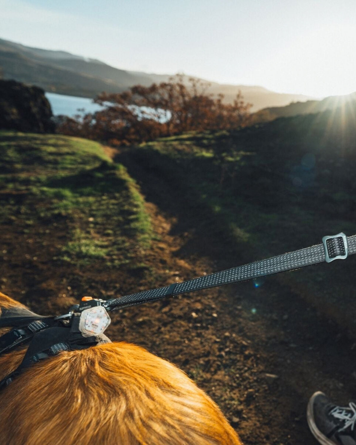 Reflektif Köpek Gezdirme Kayışı Ruffwear Ridgeline Siyah