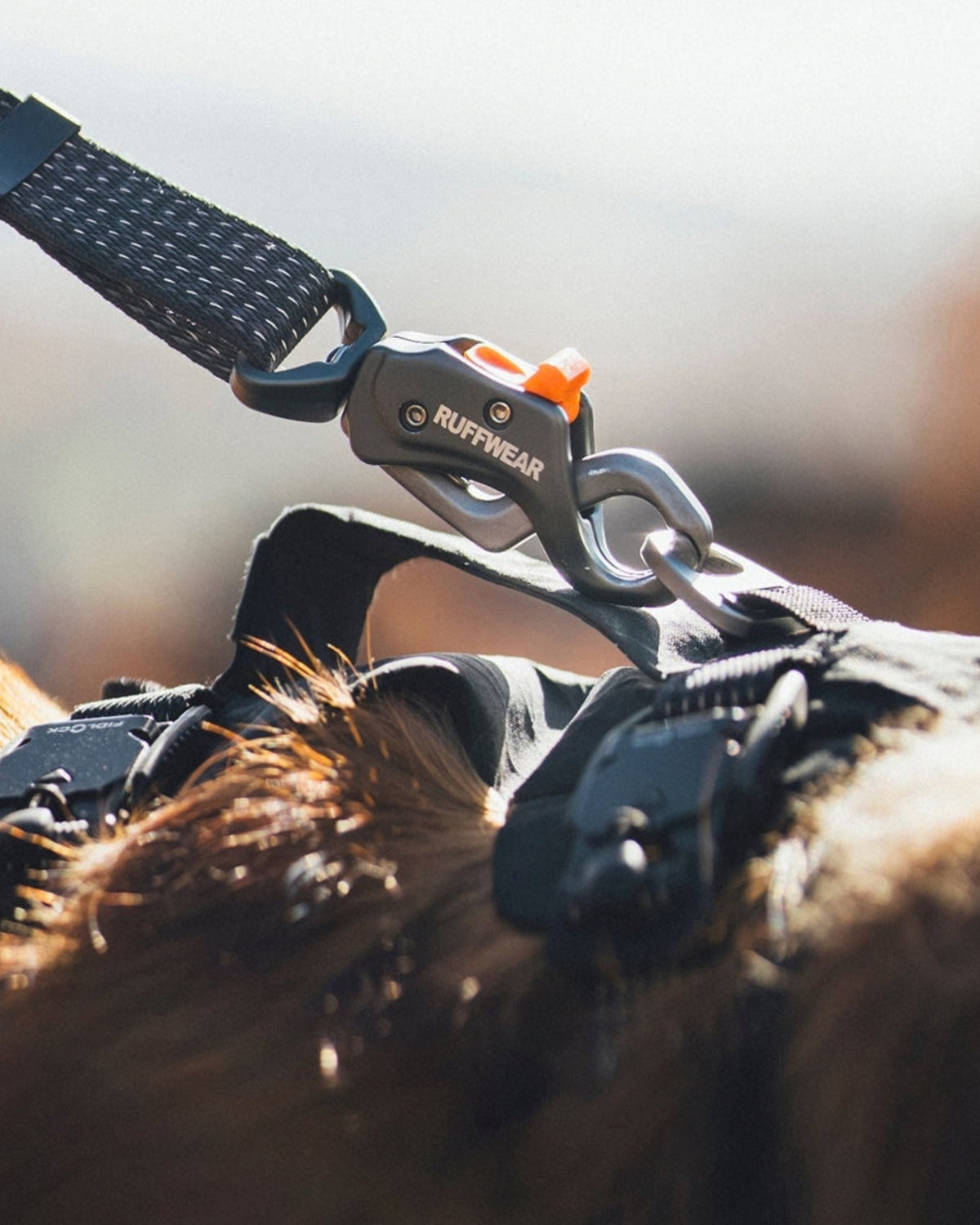 Reflektif Köpek Gezdirme Kayışı Ruffwear Ridgeline Siyah