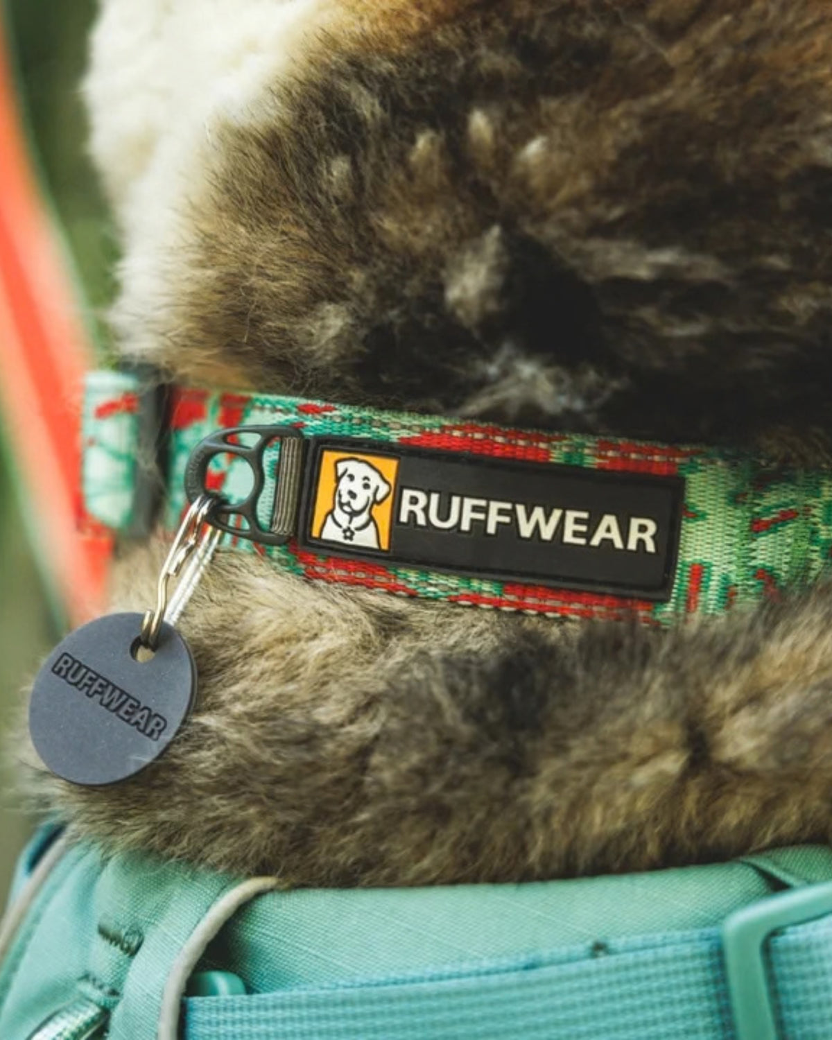 Reflektörlü Günlük Köpek Boyun Tasması Ruffwear Crag Dog Collar