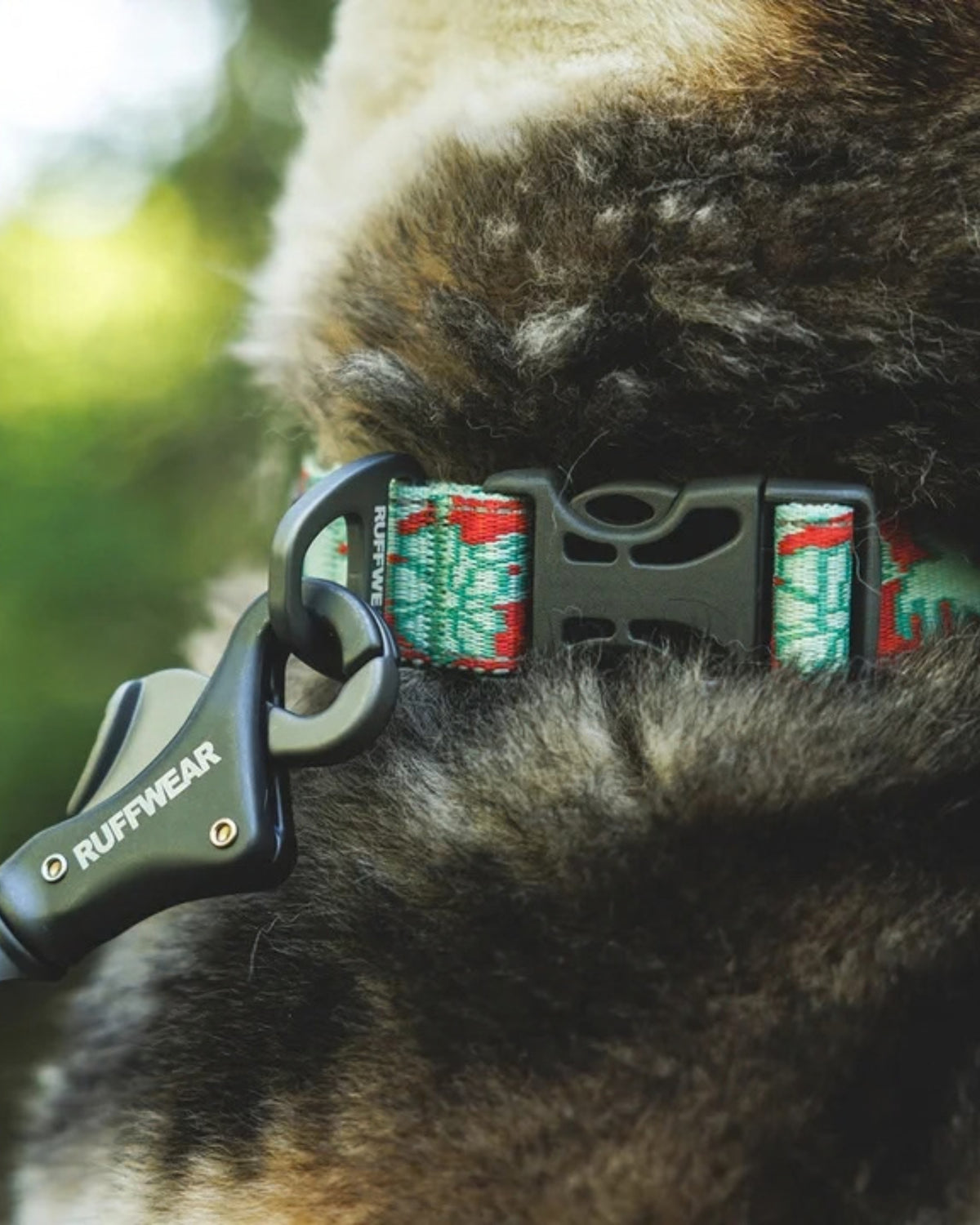 Reflektörlü Günlük Köpek Boyun Tasması Ruffwear Crag Dog Collar