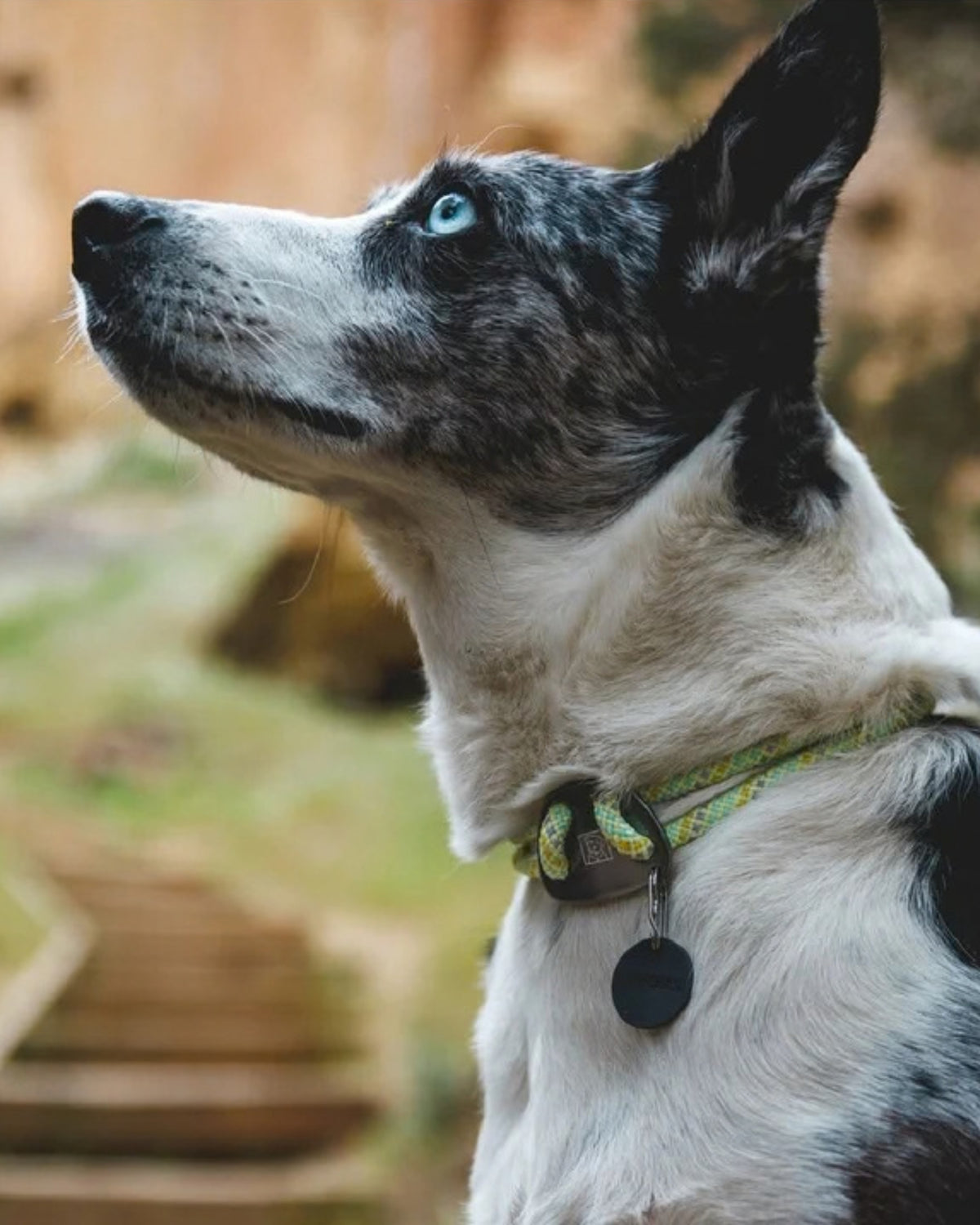 Reflektörlü Halat Köpek Boyun Tasması Ruffwear Knot-a Collar