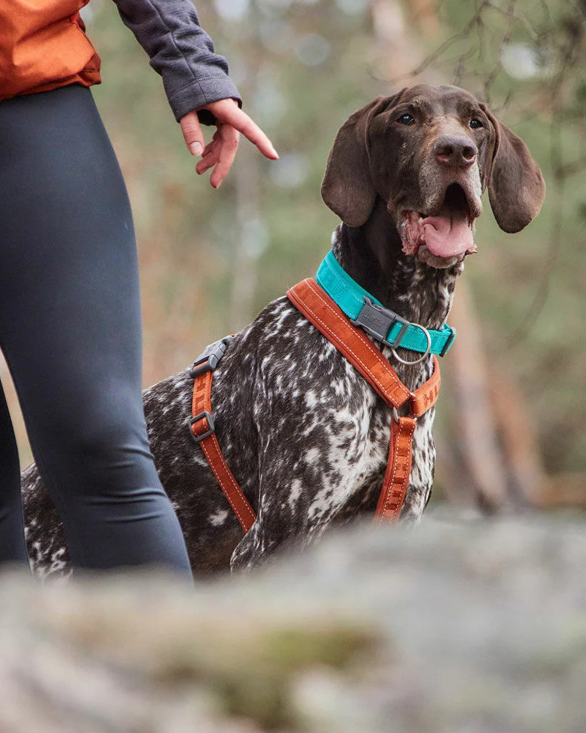 Reflektörlü Köpek Boyun Tasması Hurtta Casual ECO