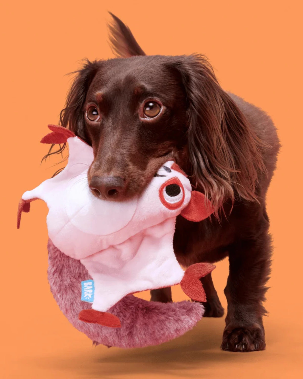 Şeker Planörü Figürlü Peluş Köpek Oyuncağı BARK Sydney Sugar Glider
