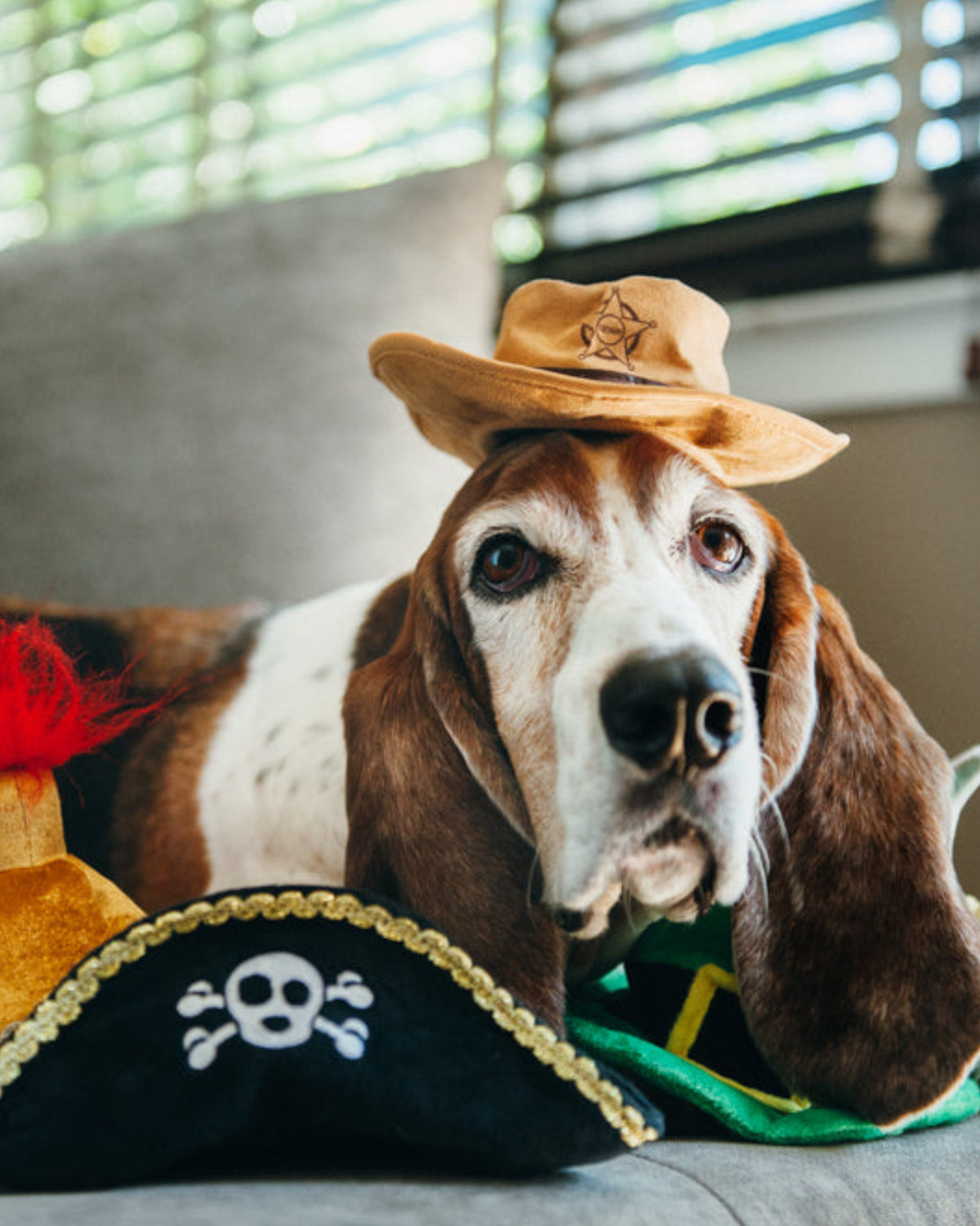 Şerif Şapkası Figürlü Hışırtılı Sesli Kahverengi Peluş Köpek Oyuncağı P.L.A.Y. Mutt Hatter Sheriff Hat