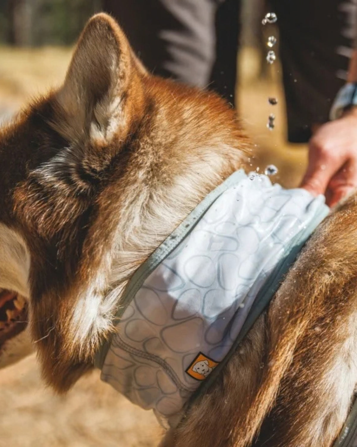 Serinletici Köpek Boyunluğu Ruffwear Swamp Cooler Neck Gaiter