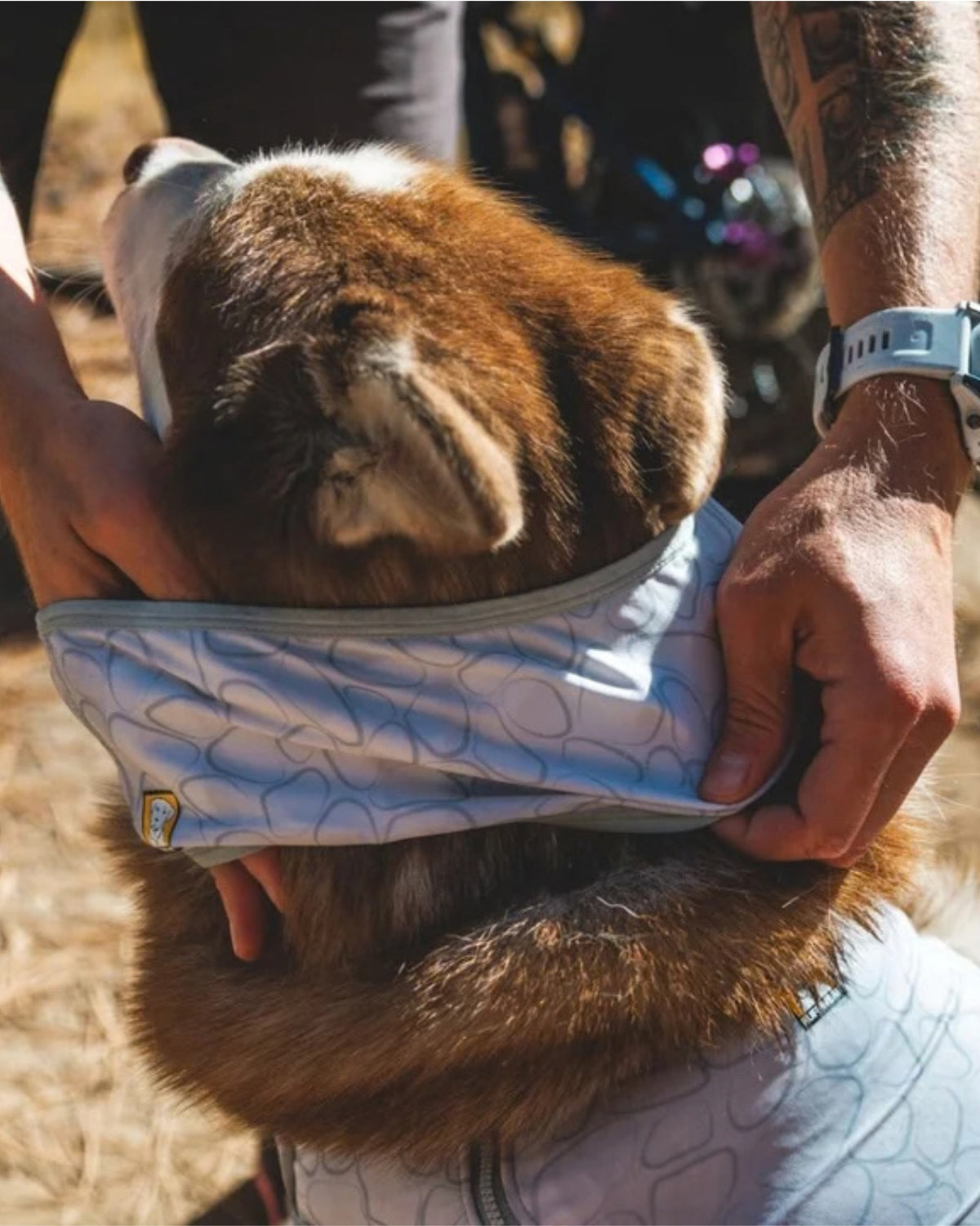 Serinletici Köpek Boyunluğu Ruffwear Swamp Cooler Neck Gaiter