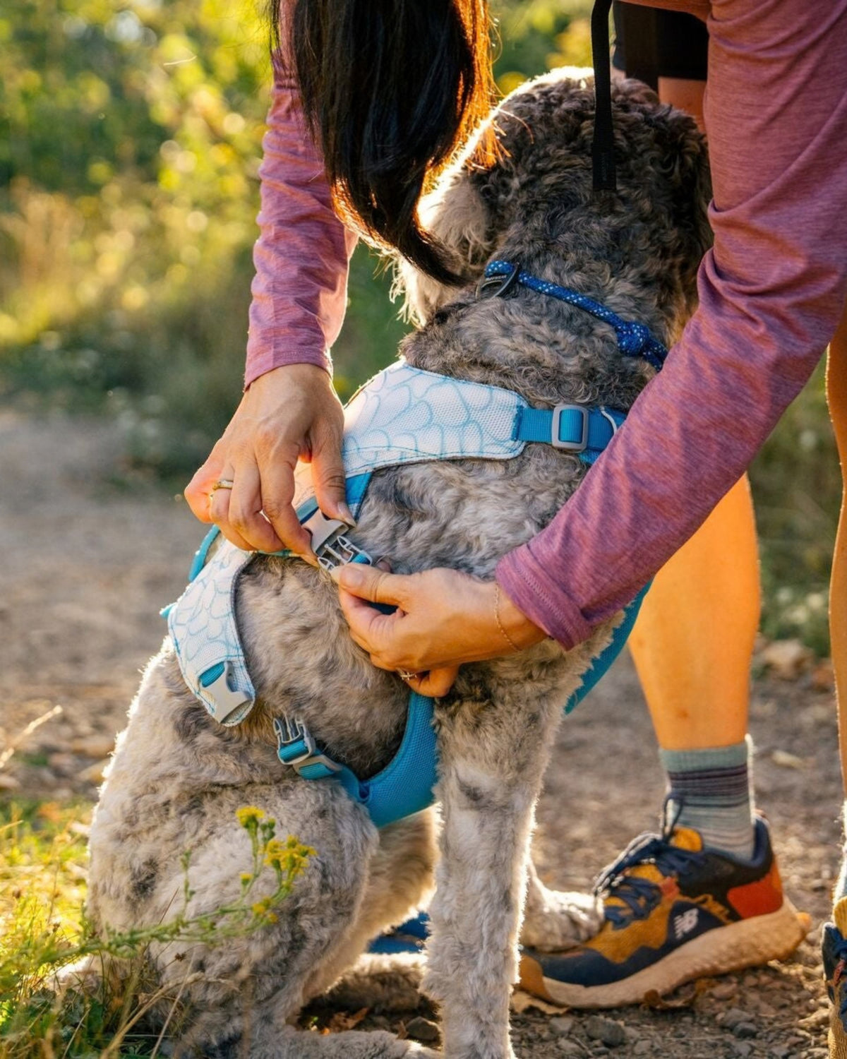 Serinletici Köpek Göğüs Tasması Ruffwear Swamp Cooler