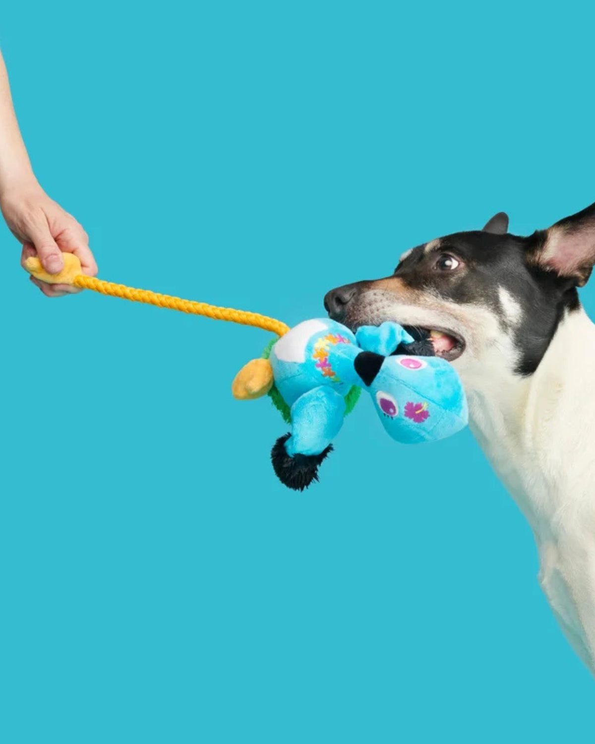 Ses Çıkaran Halatlı Peluş Kaz Köpek Oyuncağı BARK Lele the Nene Goose, XL