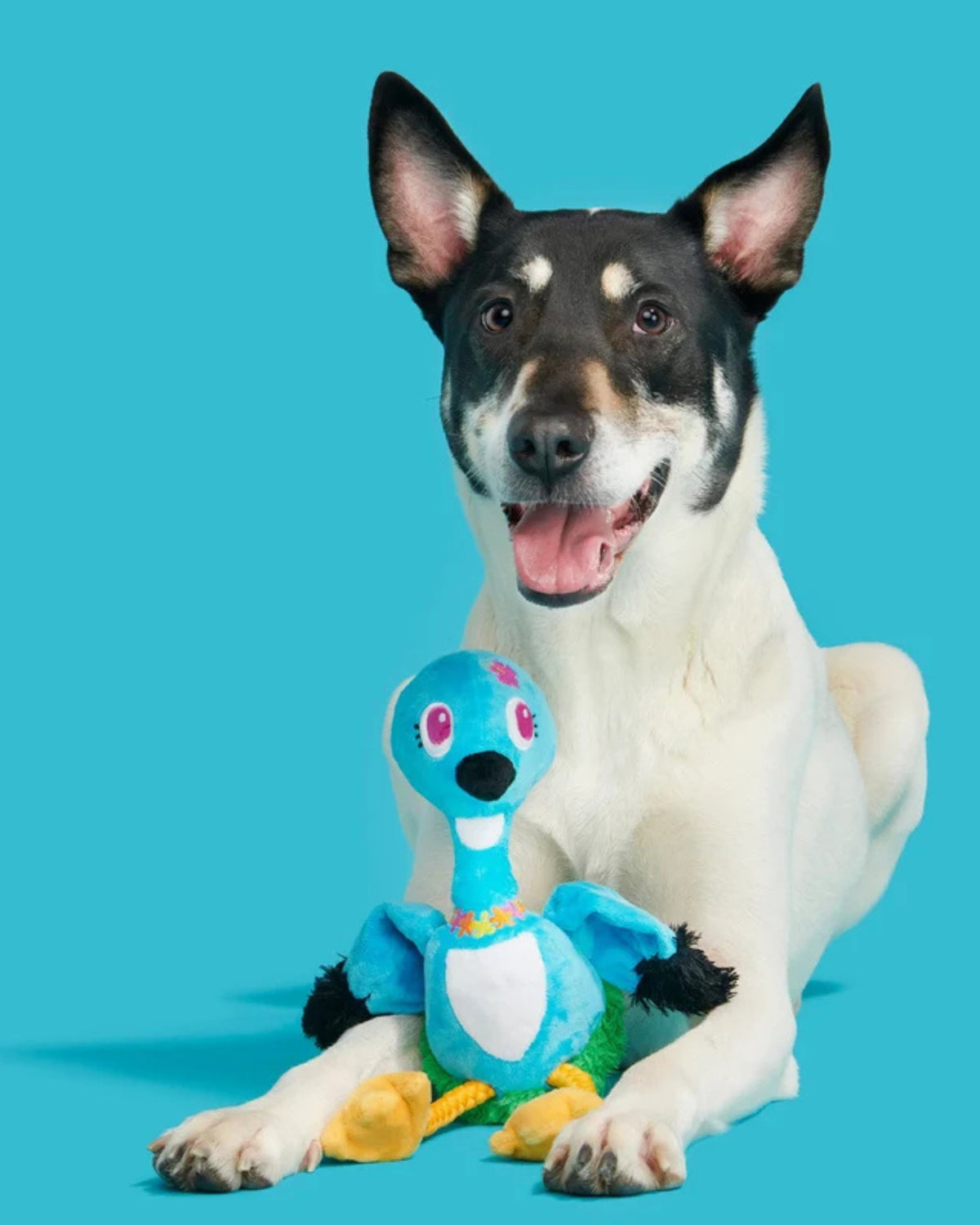 Ses Çıkaran Halatlı Peluş Kaz Köpek Oyuncağı BARK Lele the Nene Goose, XL