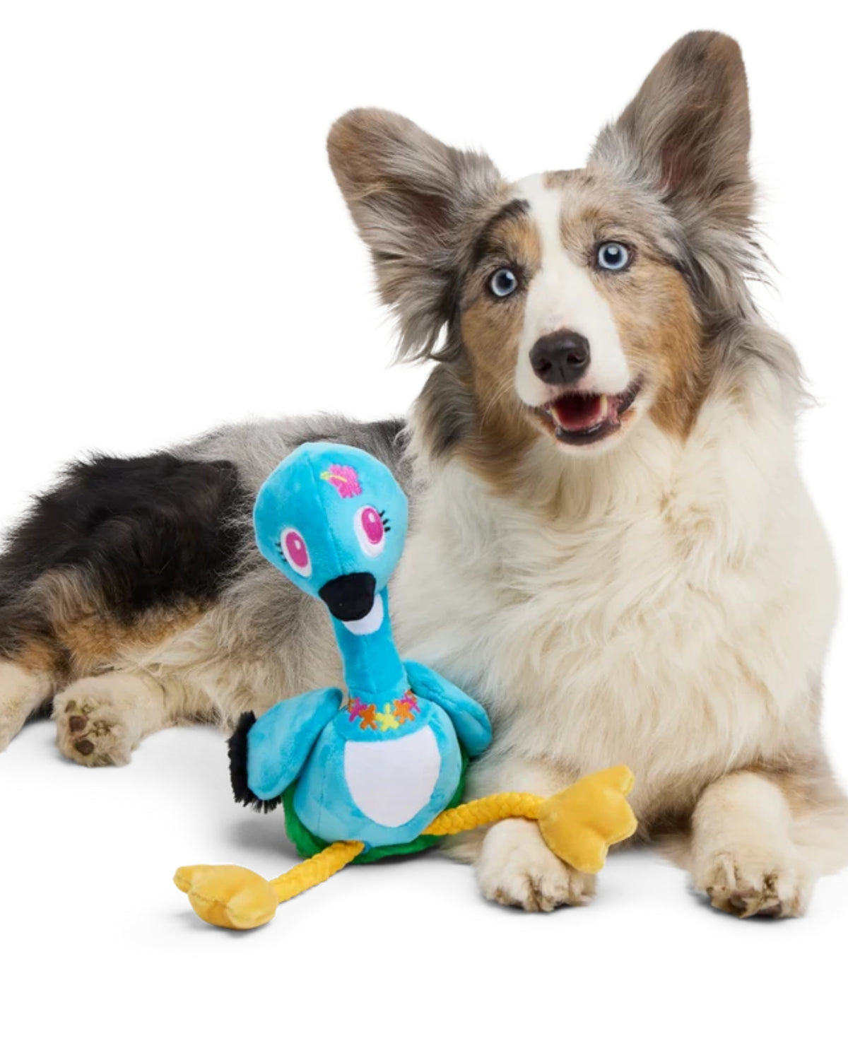 Ses Çıkaran Halatlı Peluş Kaz Köpek Oyuncağı BARK Lele the Nene Goose, XL
