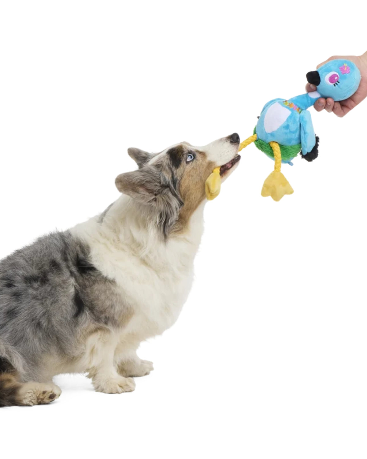 Ses Çıkaran Halatlı Peluş Kaz Köpek Oyuncağı BARK Lele the Nene Goose, XL