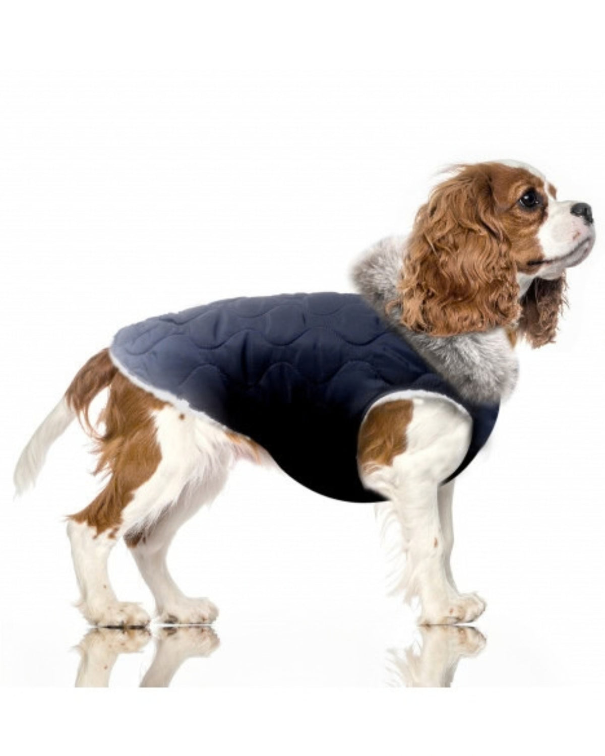 Sherpa Astarlı Kapitone Köpek Montu Milk&Pepper Hugo Down Jacket