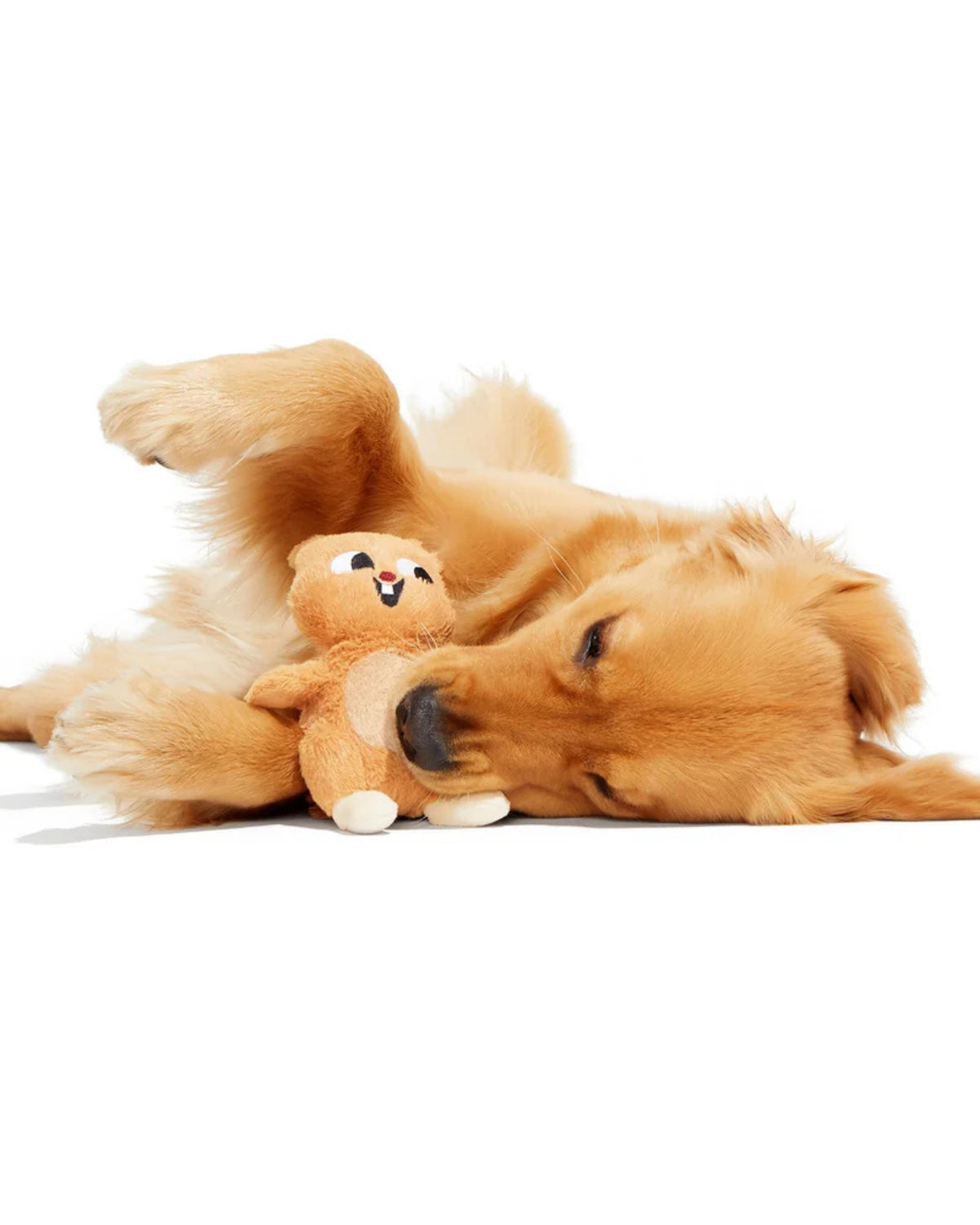 Sincap Figürlü Peluş Köpek Oyuncağı BARK Pearl Squirrel