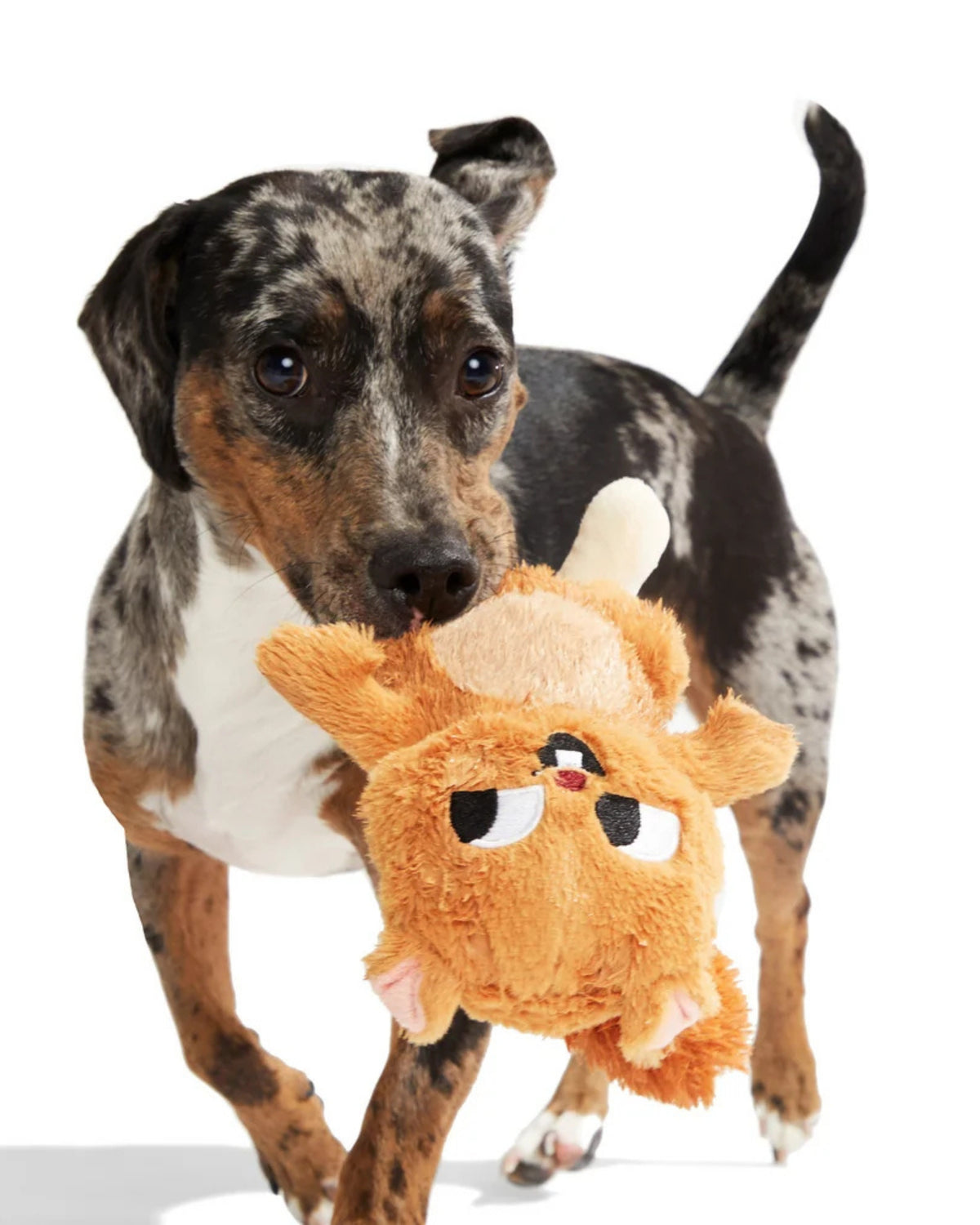 Sincap Figürlü Peluş Köpek Oyuncağı BARK Pearl Squirrel