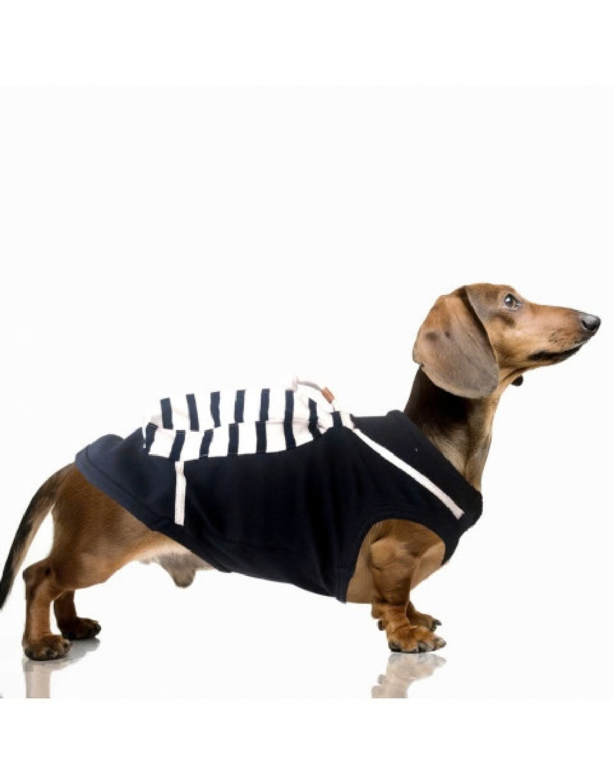Sırt Çantası Detaylı Pamuklu Köpek Tişörtü Milk&Pepper Yoan T Shirt