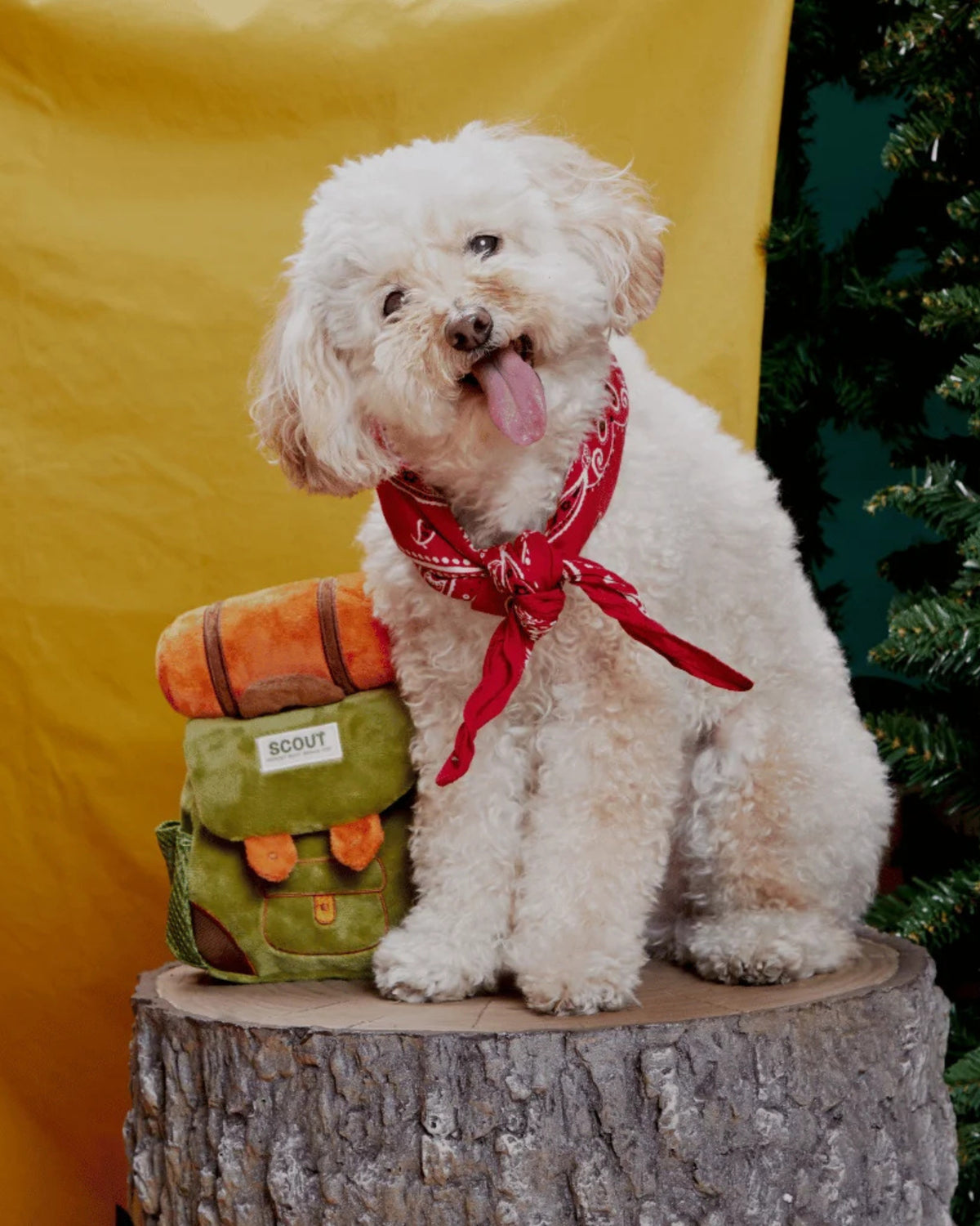 Sırt Çantası Figürlü Ödül Cepli Peluş Köpek Oyuncağı BARK Rowdy Ruckus Rucksack