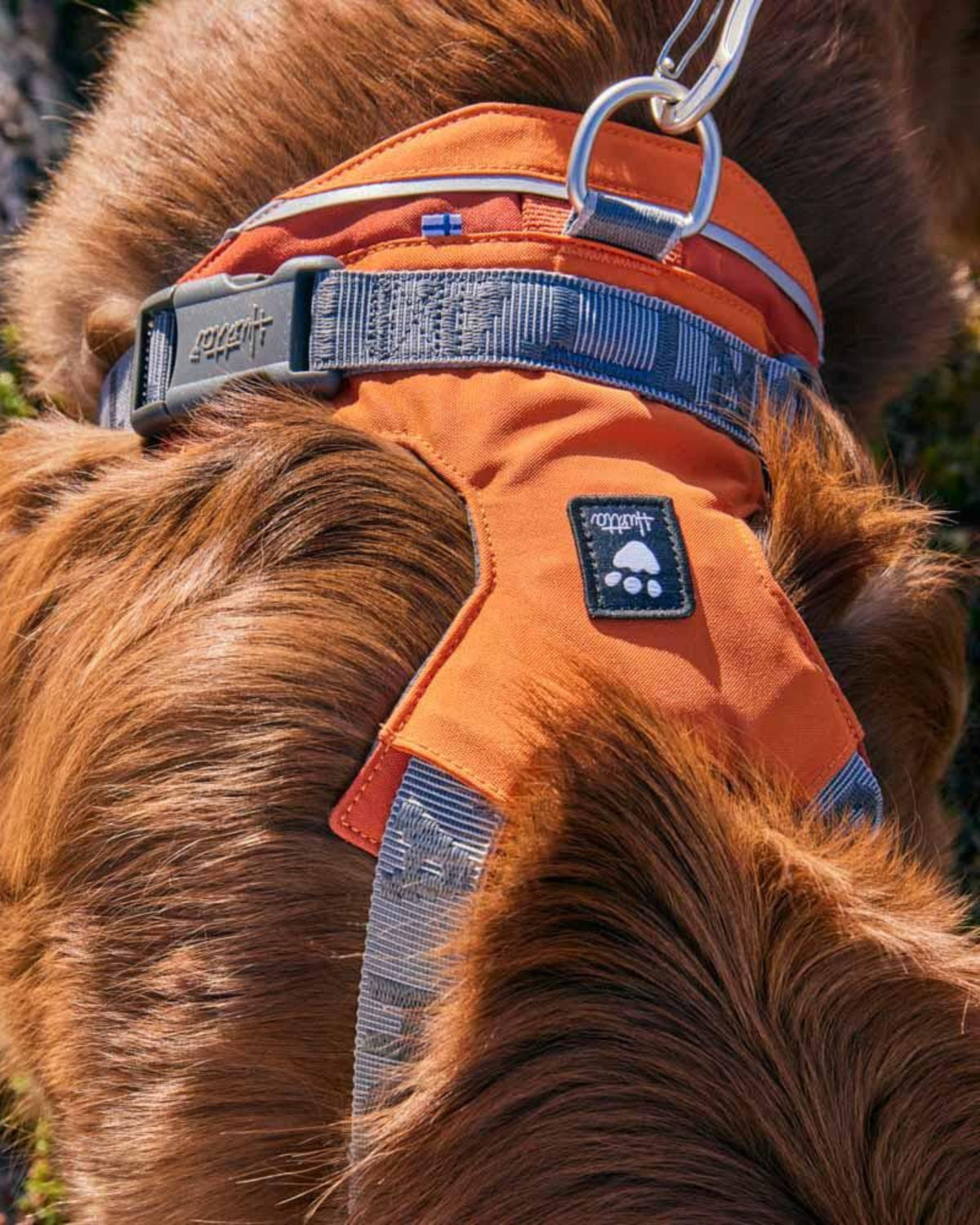 Su Geçirmez Köpek Göğüs Tasması Hurtta Rover Harness