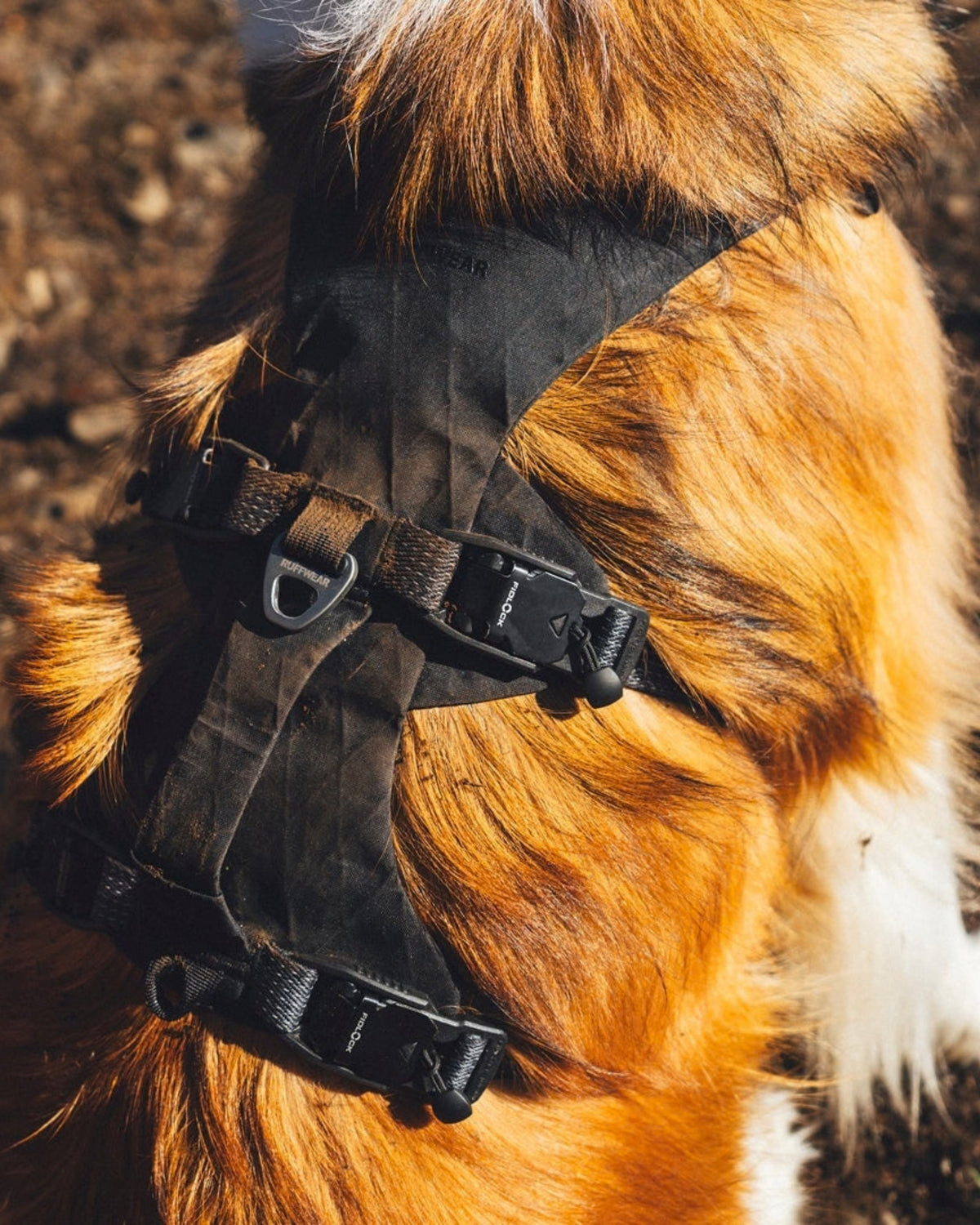 Su Geçirmez Köpek Göğüs Tasması Ruffwear Ridgeline Siyah