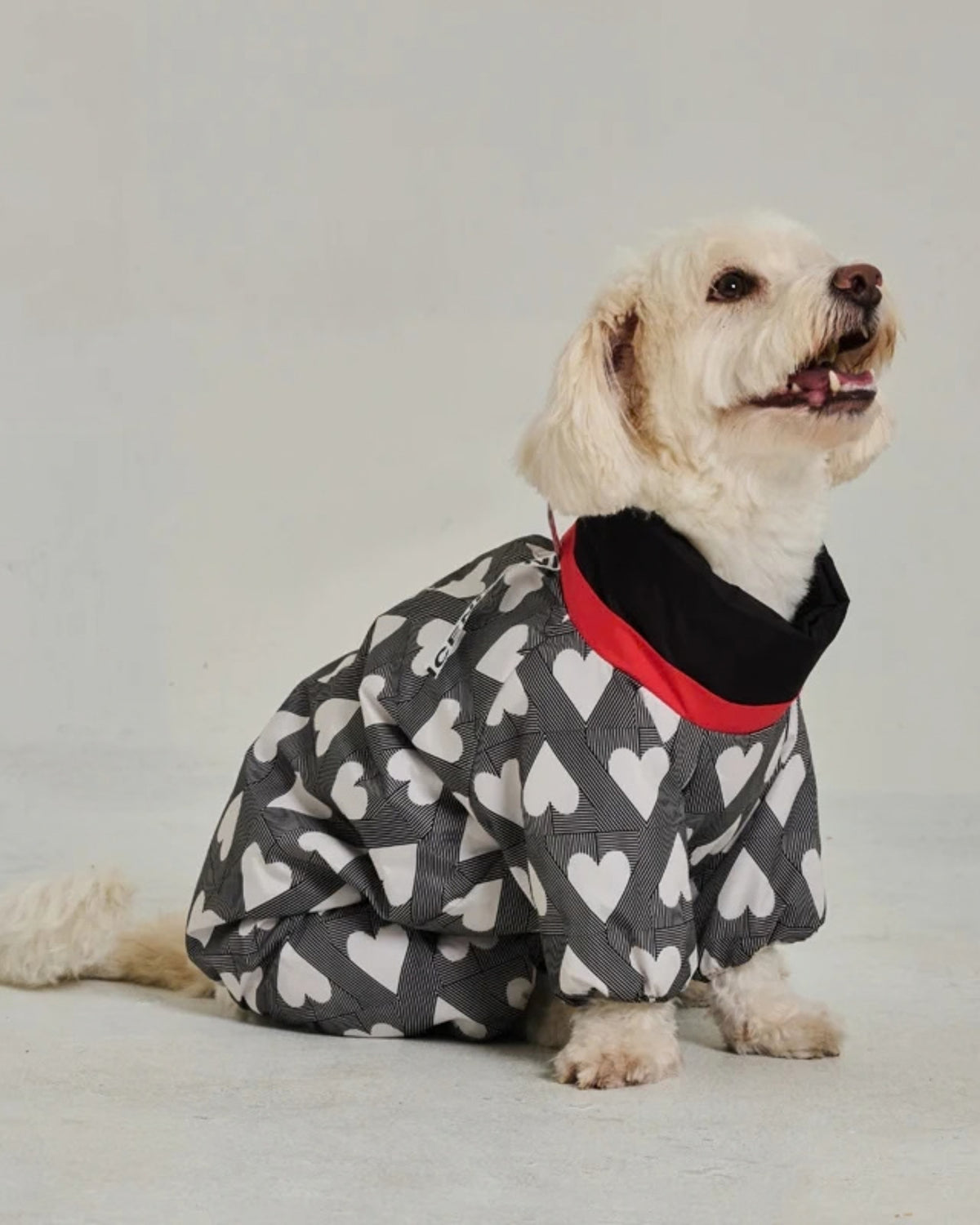 Su İtici Köpek Tulumu Godoist Puffer Jumpsuit Kate