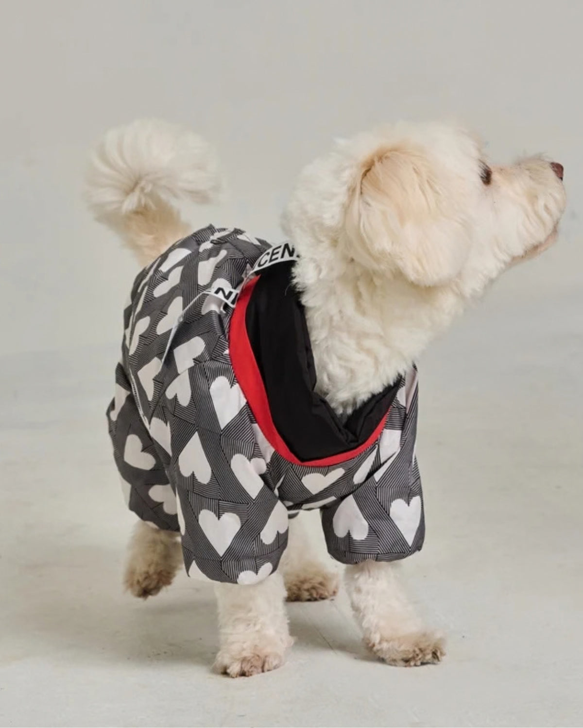 Su İtici Köpek Tulumu Godoist Puffer Jumpsuit Kate